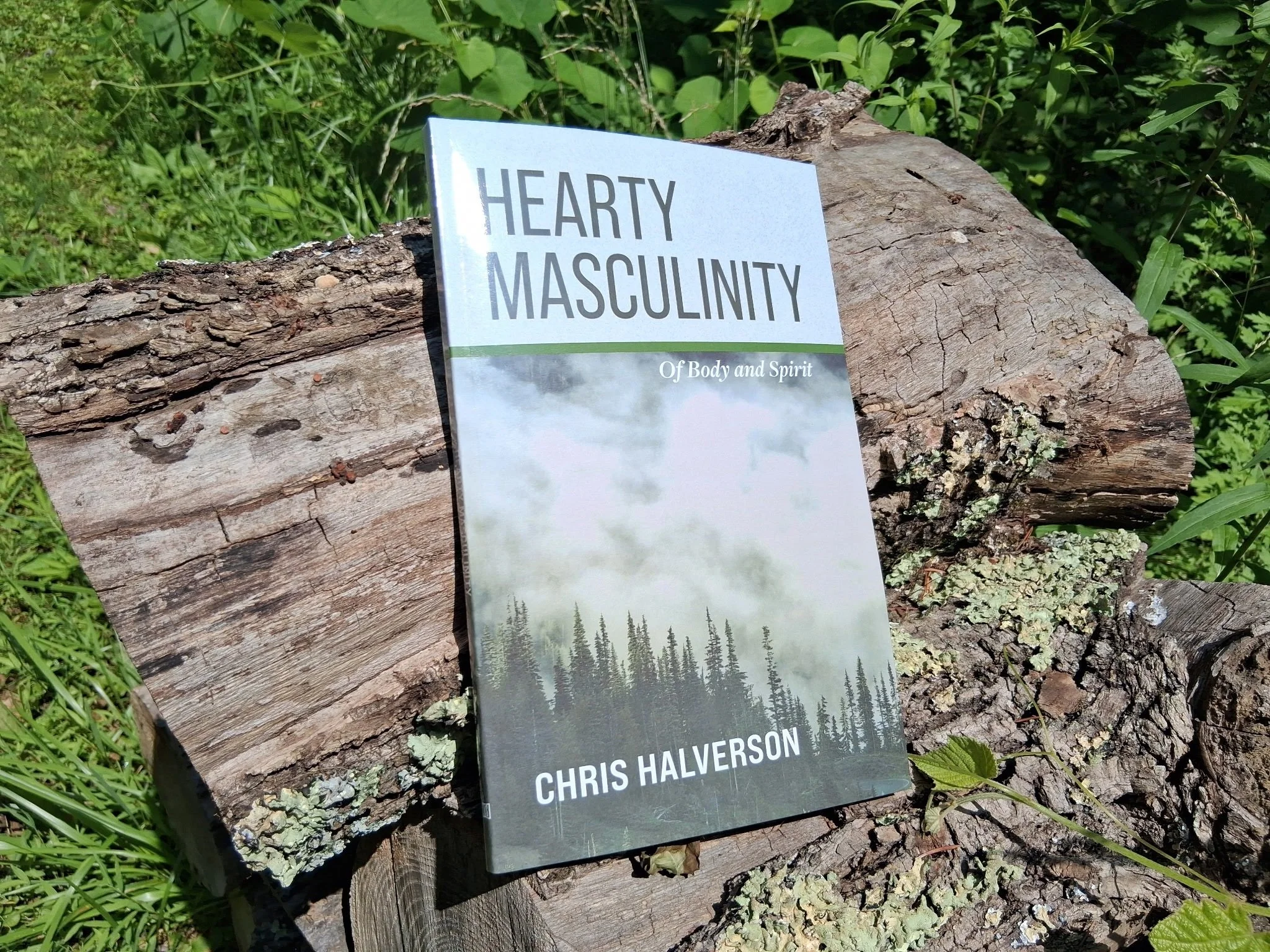 BOOK LAUNCH! with Chris Halverson