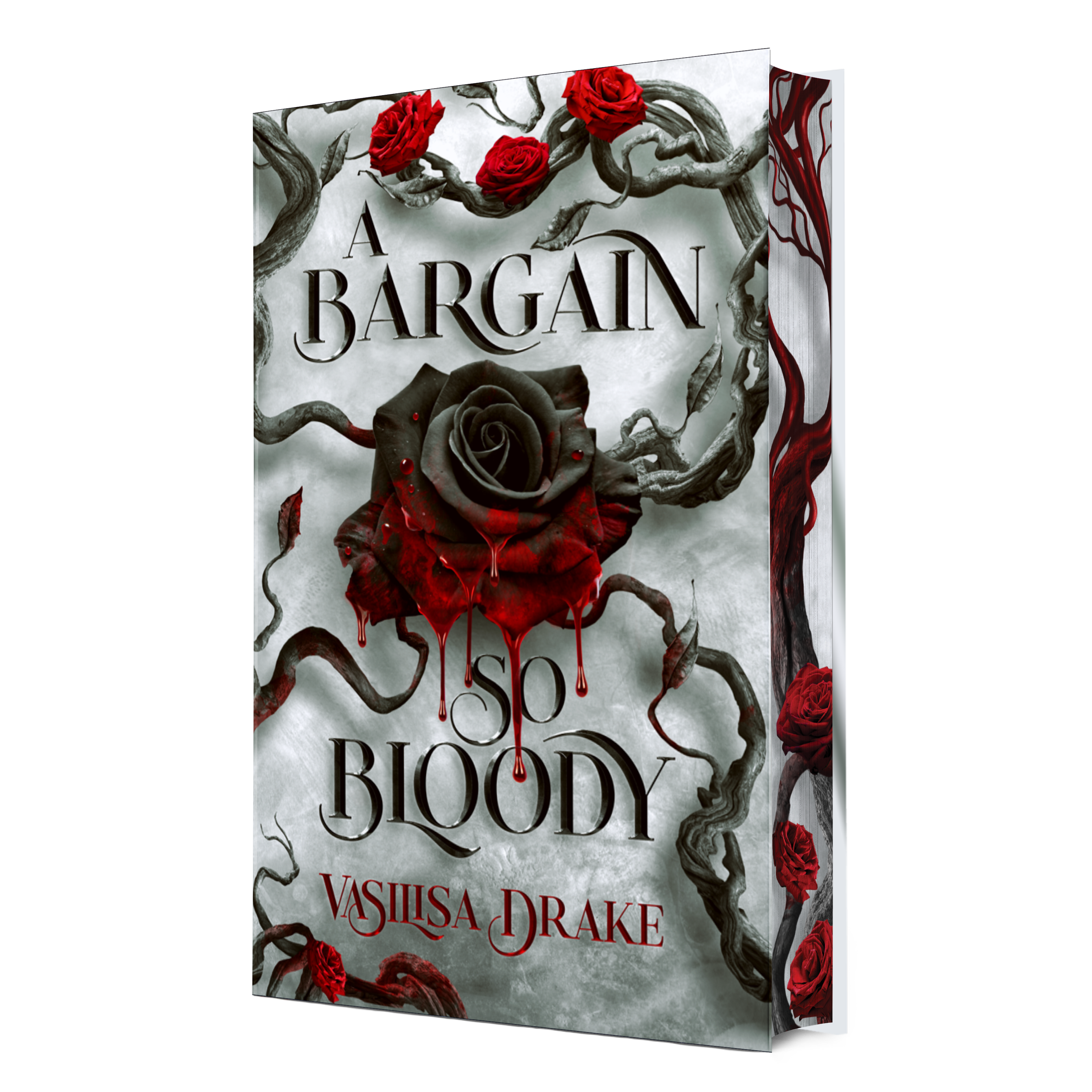 BsB_cover_edges (1).png
