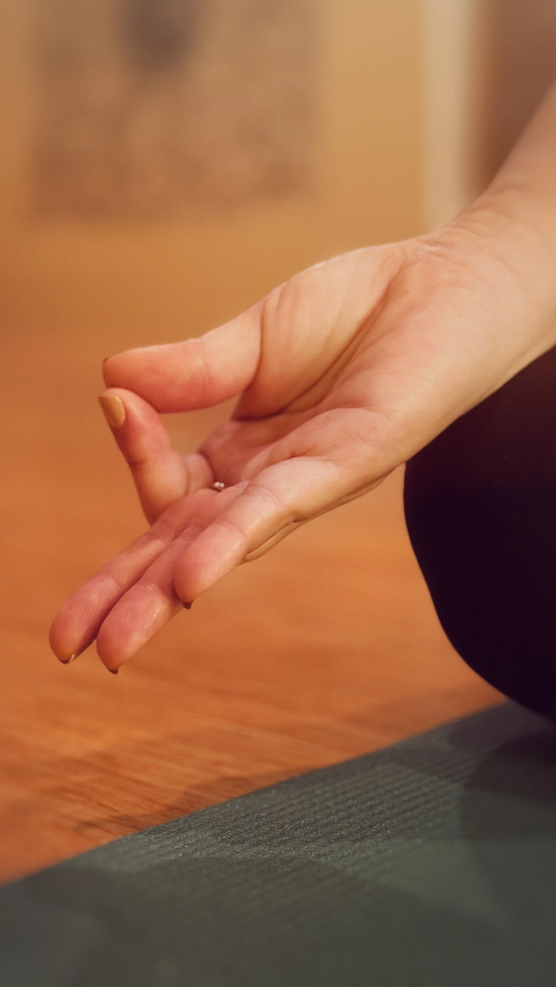 Chanting the Yoga Sutras 