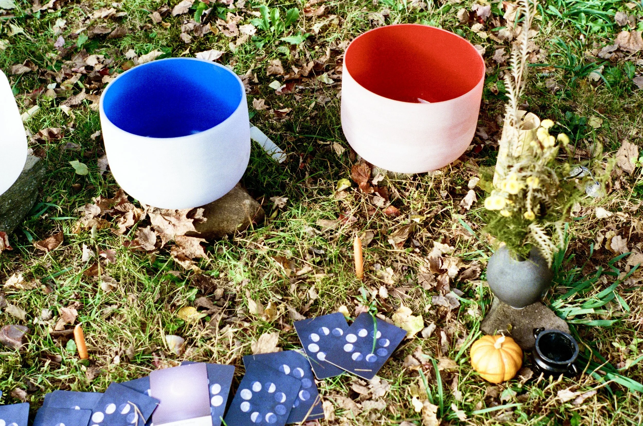 Outdoor scene with two colorful singing bowls, one blue on the left and one red on the right, placed on grass with fallen leaves. There are tarot cards scattered on the grass, a small pumpkin, a flower vase with flowers, and a small black object nearby.