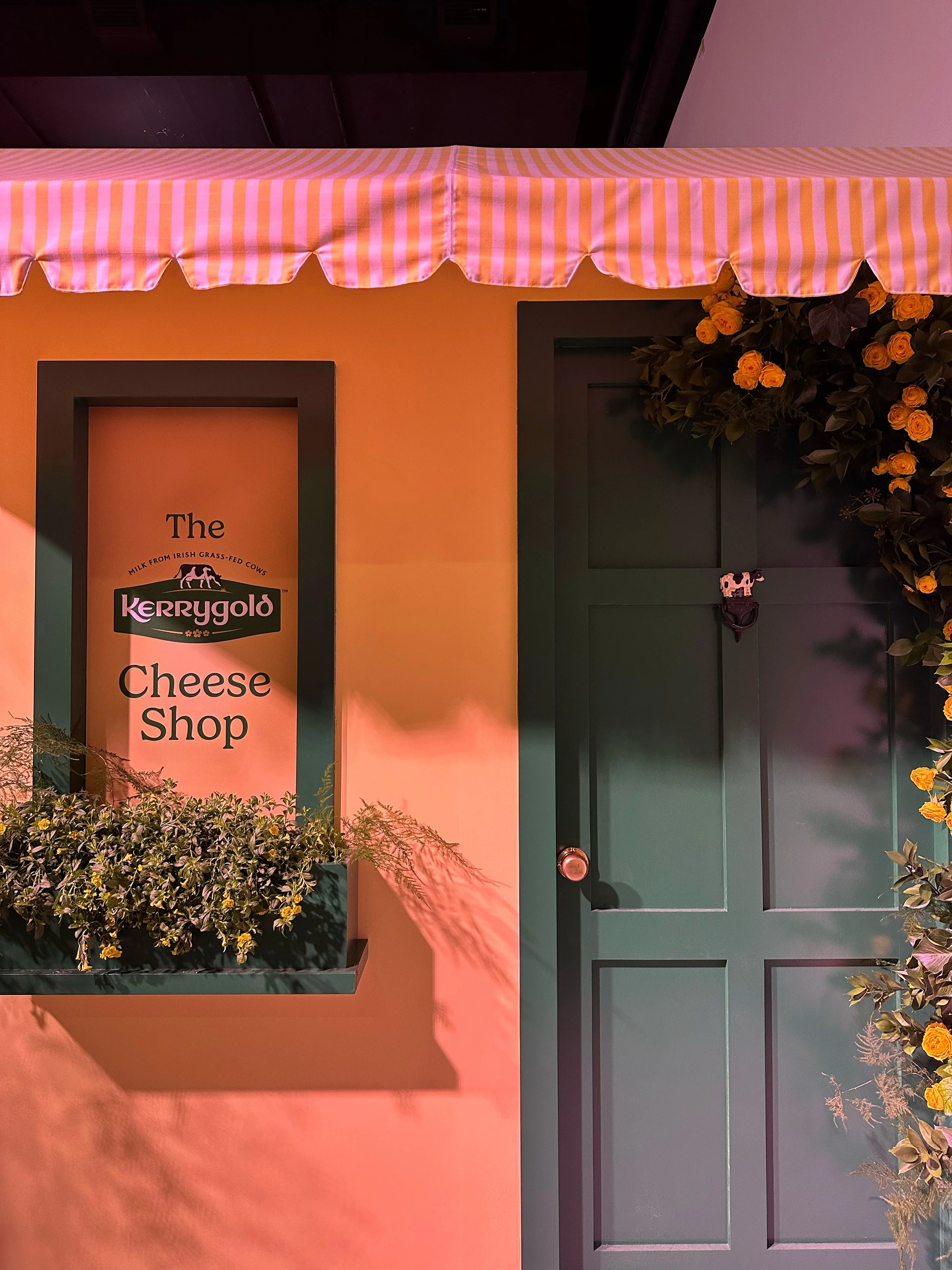 Photo by Maggie Welsh