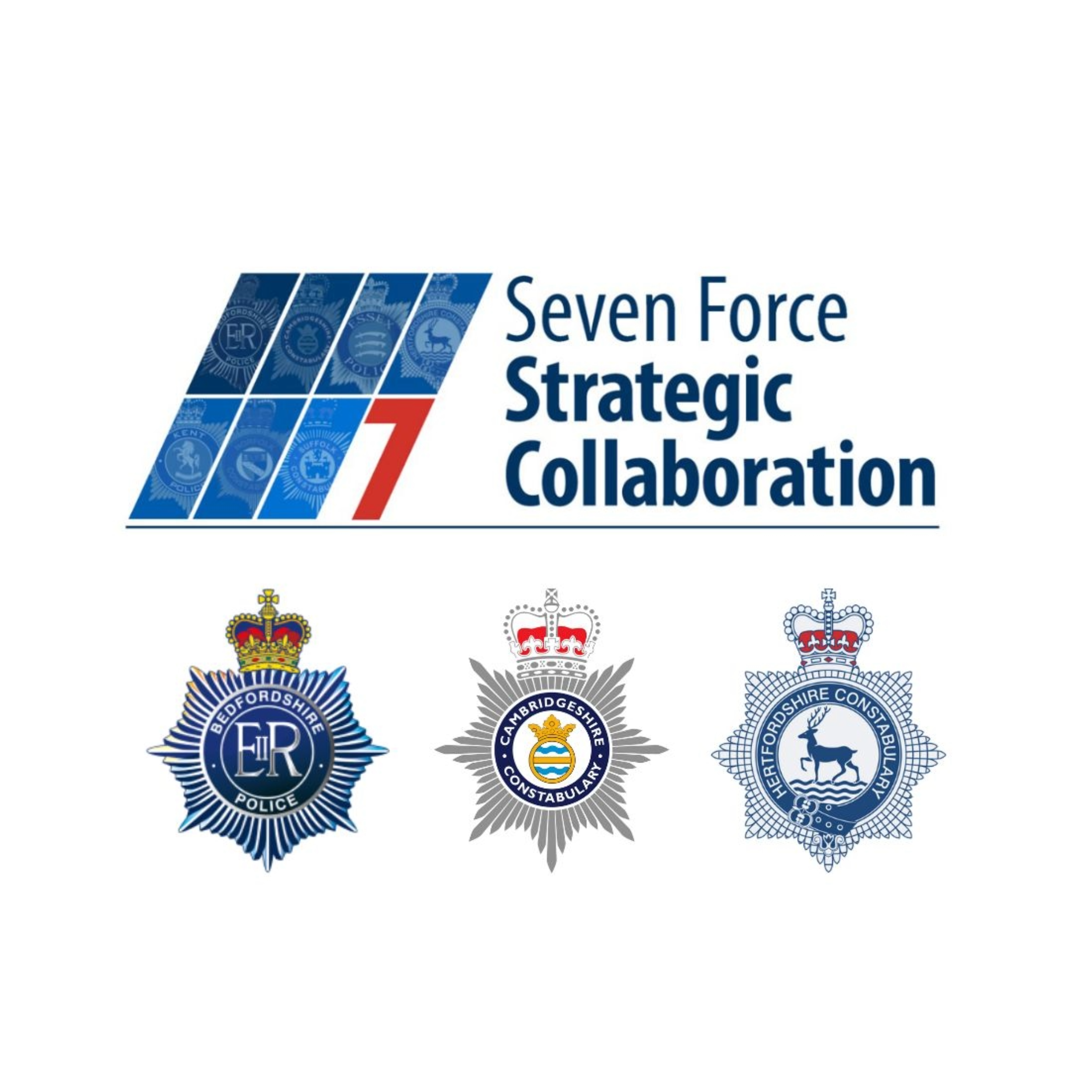Seven Forces logo