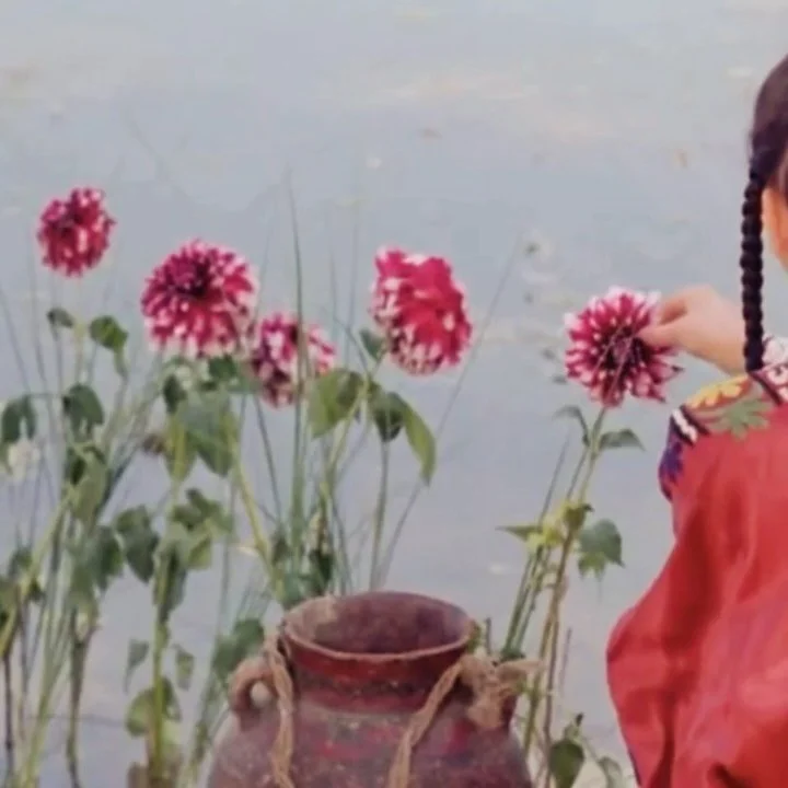 Mornings at Amrita One, post jatamansi kissed navel oil dreams 🍒 The Silence [Sokout] (1998)