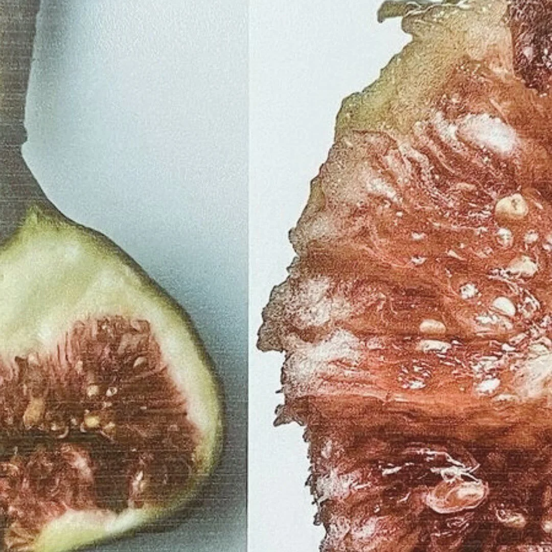 Figs are inverted flowers, they bloom inward 🤎 Whatever agreement was made between the fig &amp; the wasp, it must have been the most sacred of contracts. To bring a fig to life, a female fig wasp squeezes through a tiny hole on the fruit. She willi