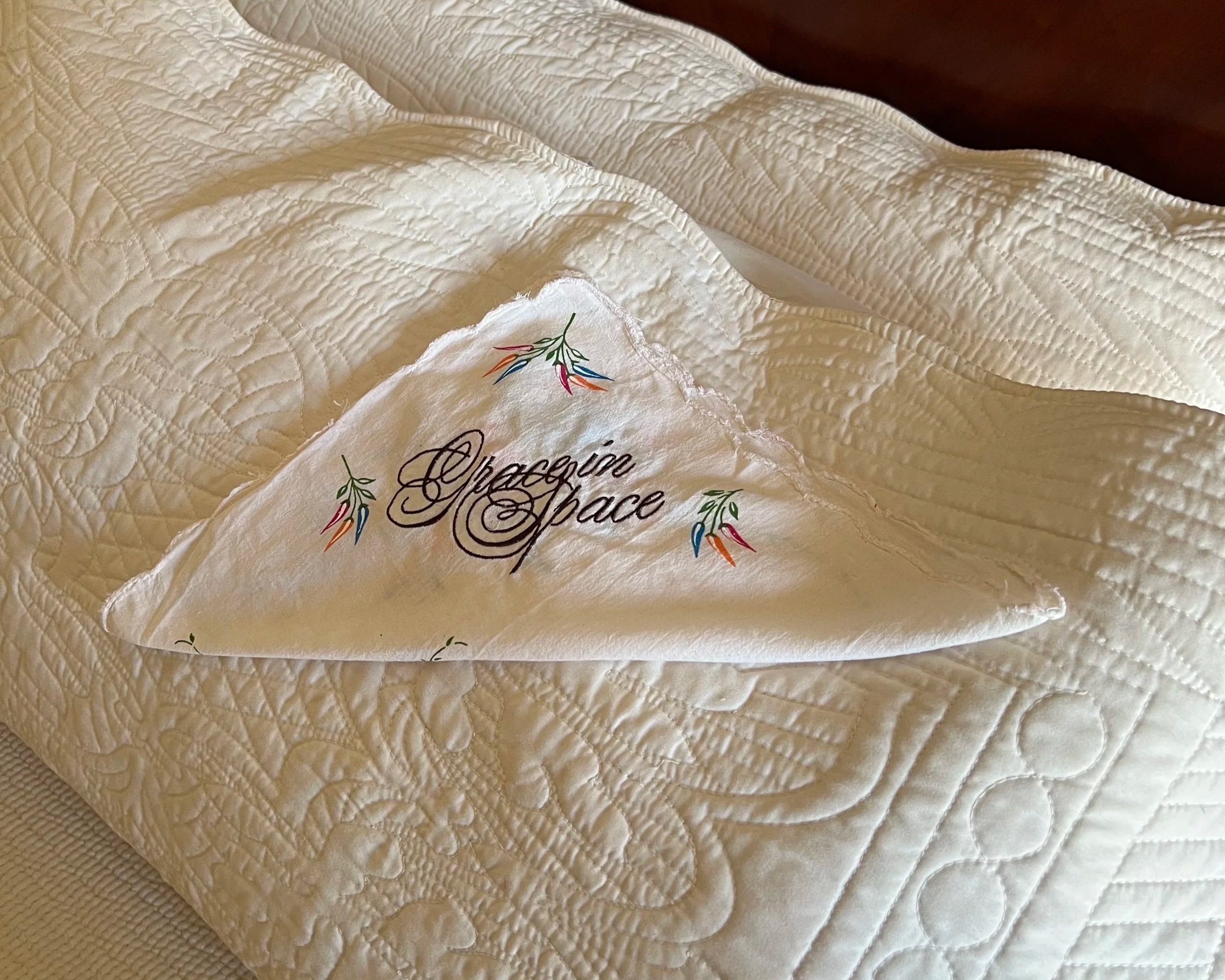 01  "Grace in Space"  Embroidered Rumal