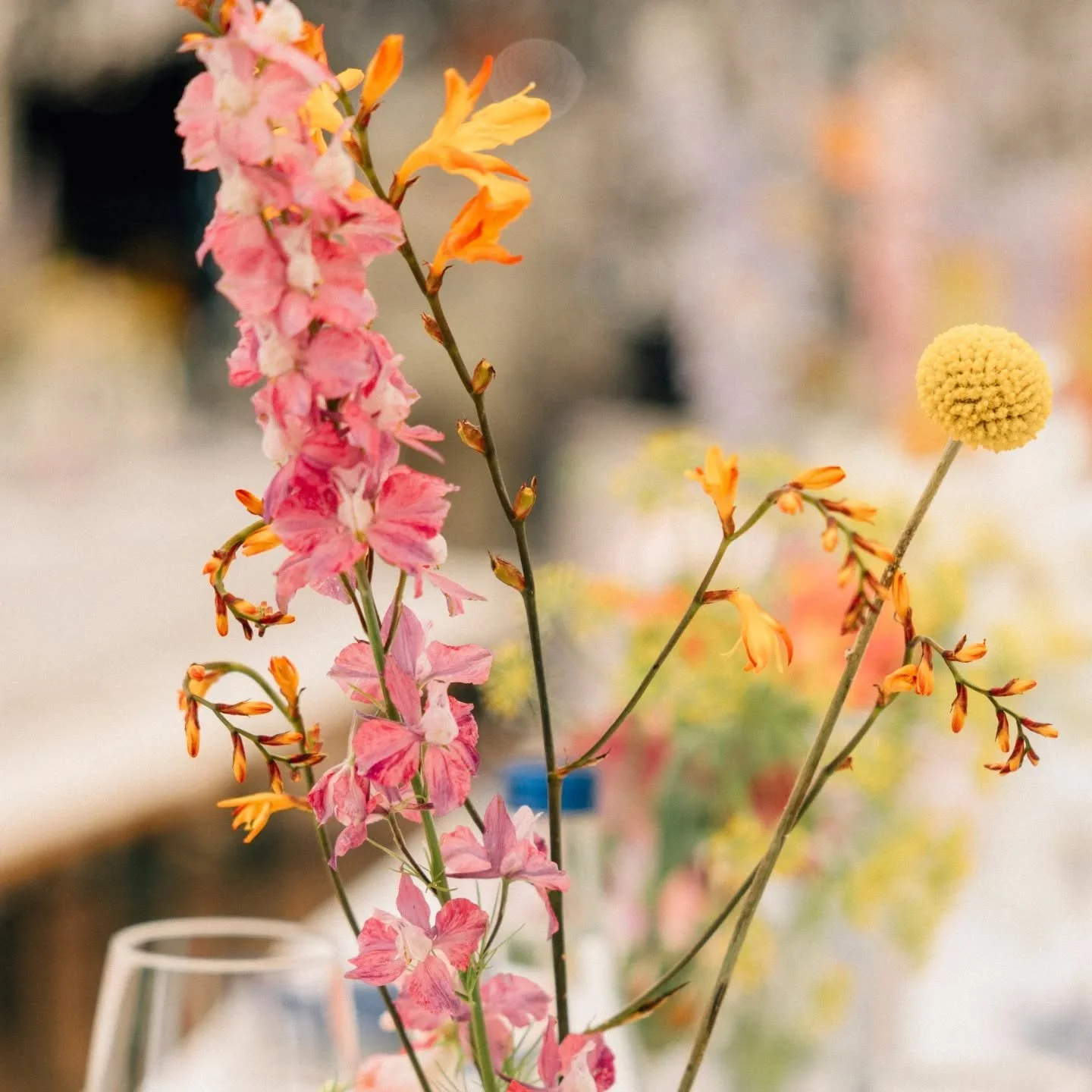 Garden Celebration Munich

#gardenparty
#eventdesigner
#privatecelebration
#eventplanner
#munichevents