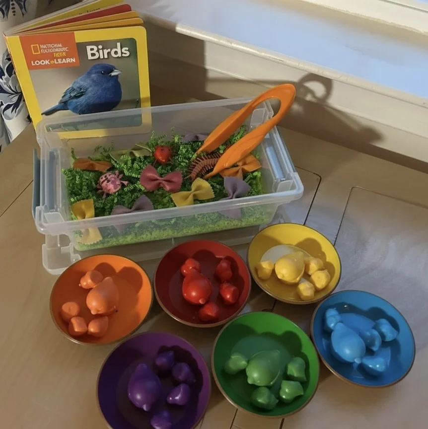 🐦 Backyard Bird Rescue: A Book-To-Play™ Sensory Kit