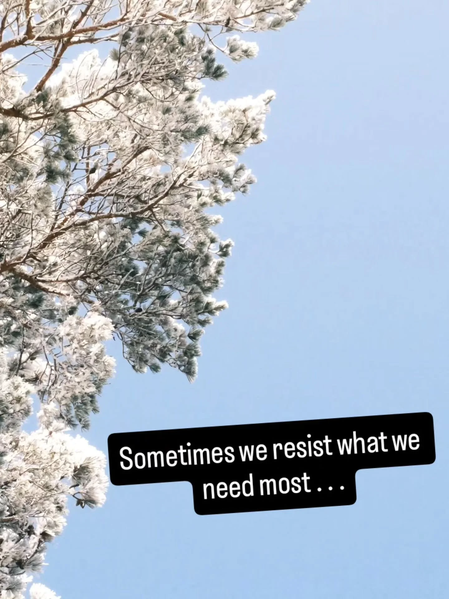 An abnormal amount of snow got dumped on our little town two weeks ago. It was Tuesday morning. I had a very hard deadline for the end of the week. I went for a morning walk in the snow anyway, and I am so glad that I did. 

The beauty of that pristi