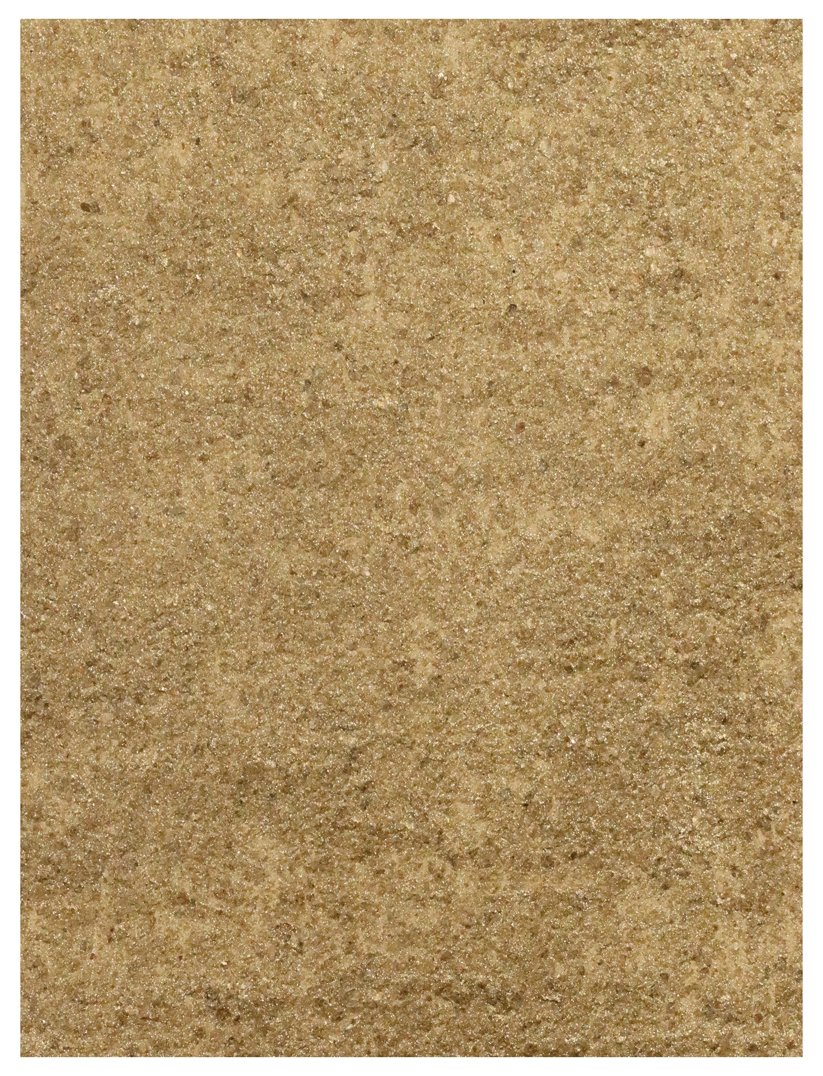 Close-up view of a sandy surface with fine grains and a beige color.