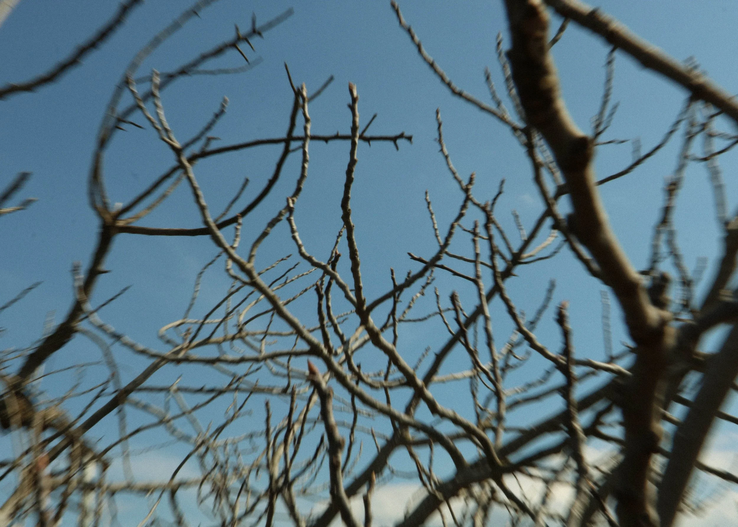 24.03.16 Estació_6226.jpg