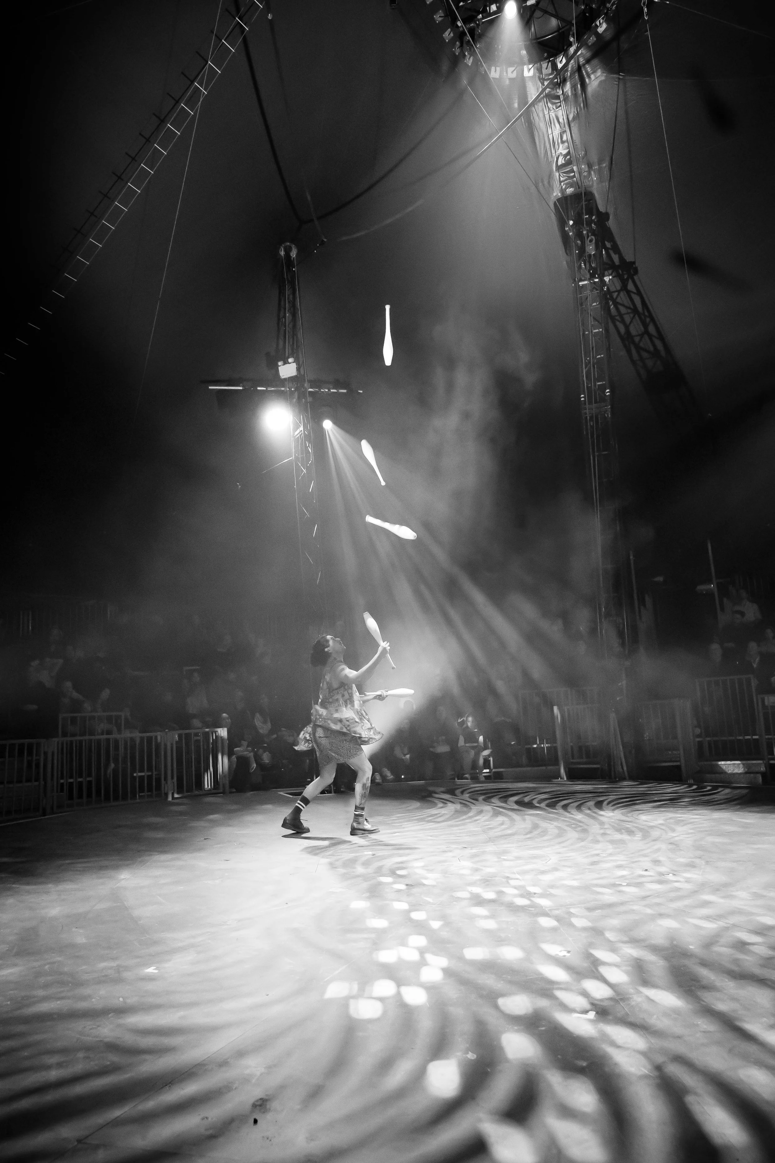 CIrcus-16.jpg
