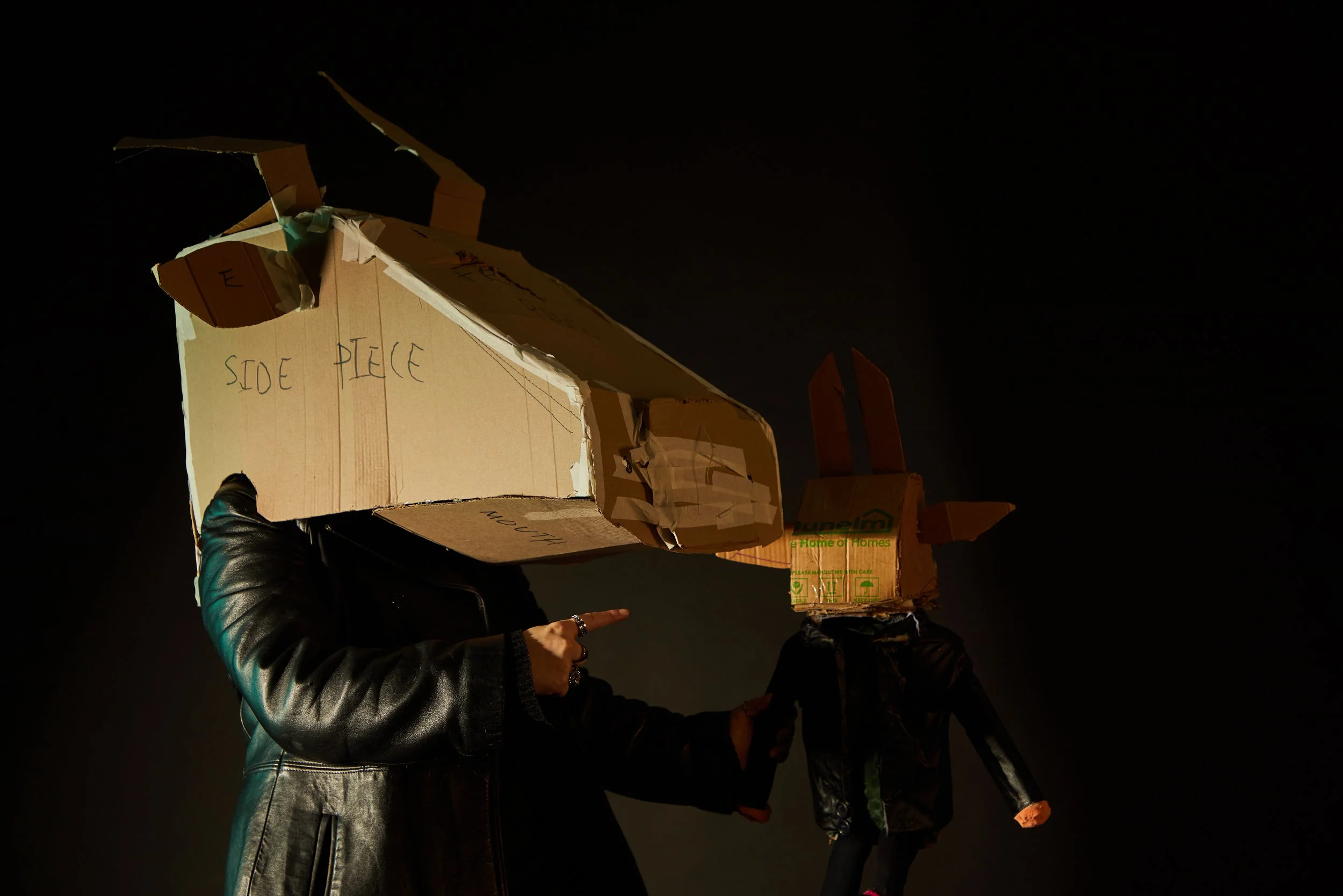 cow head shoot0104.jpg