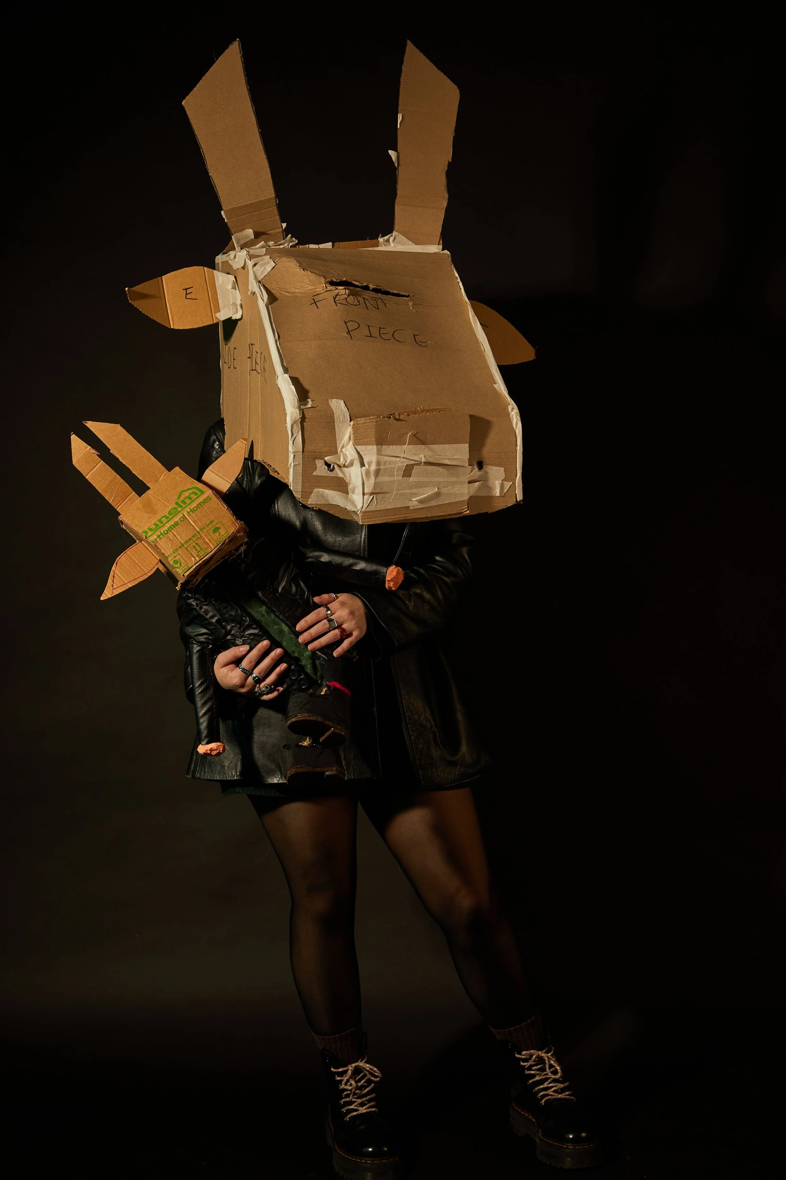 cow head shoot0038.jpg