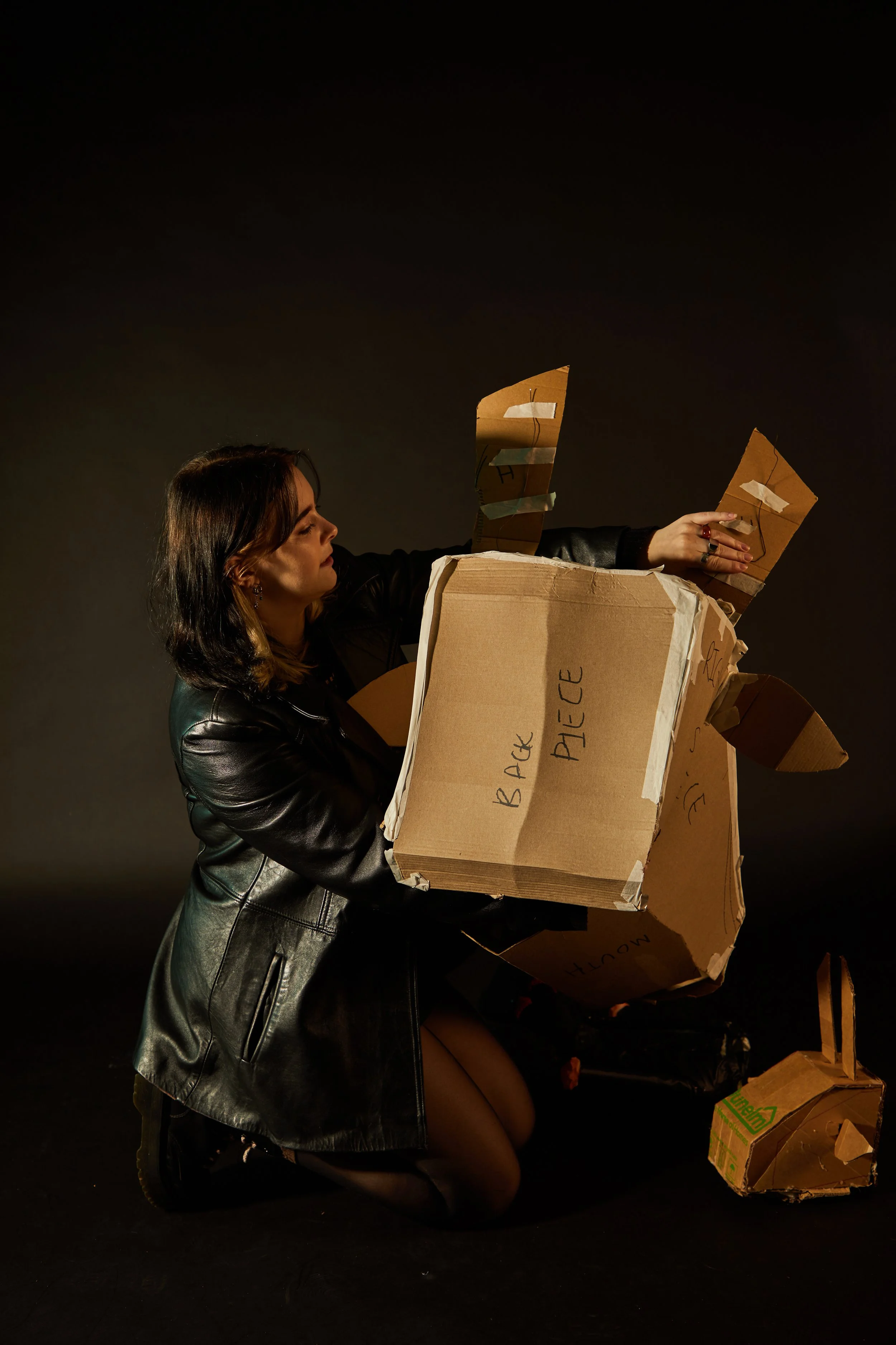 cow head shoot0116.jpg