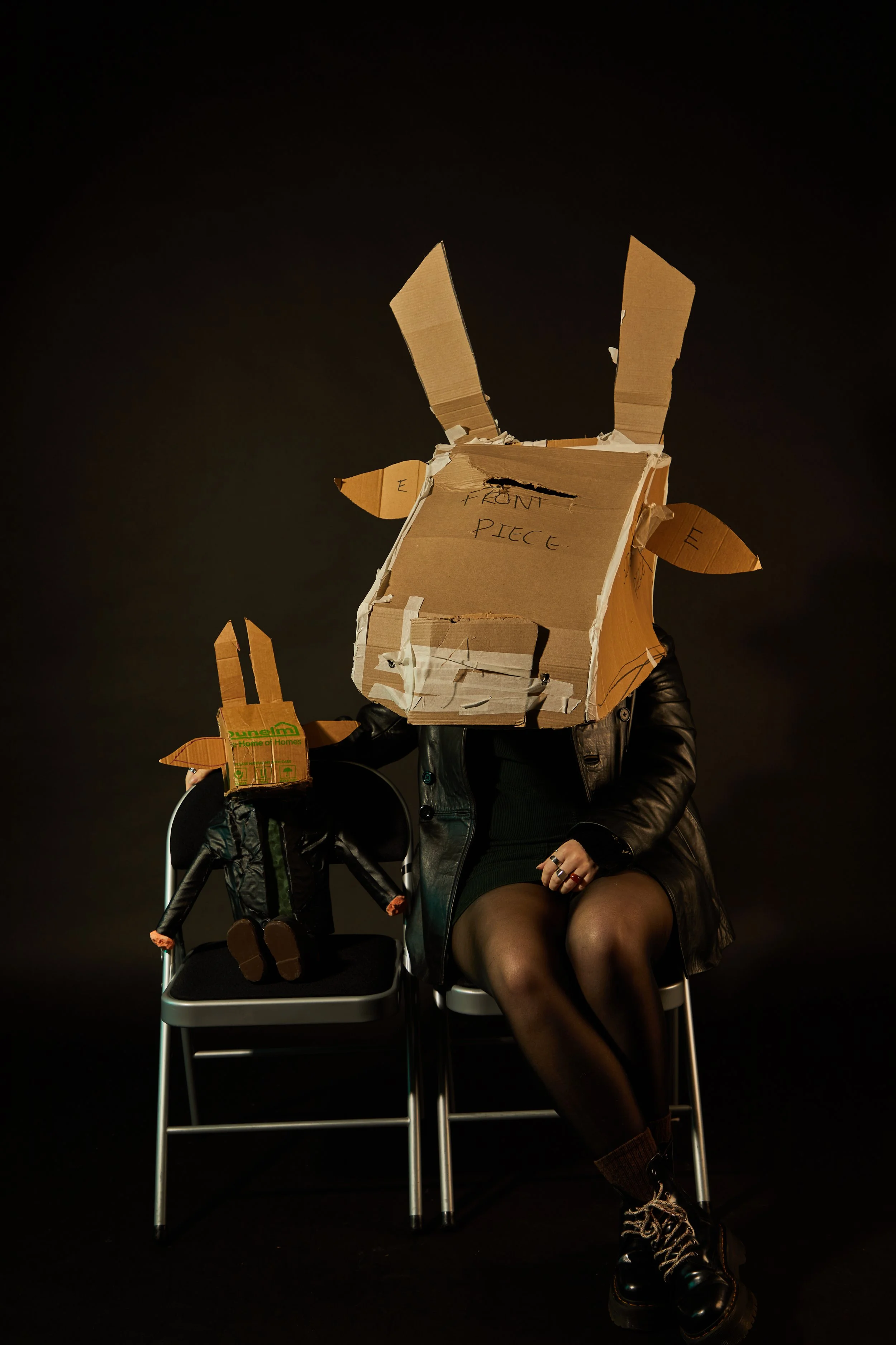 cow head shoot0047.jpg