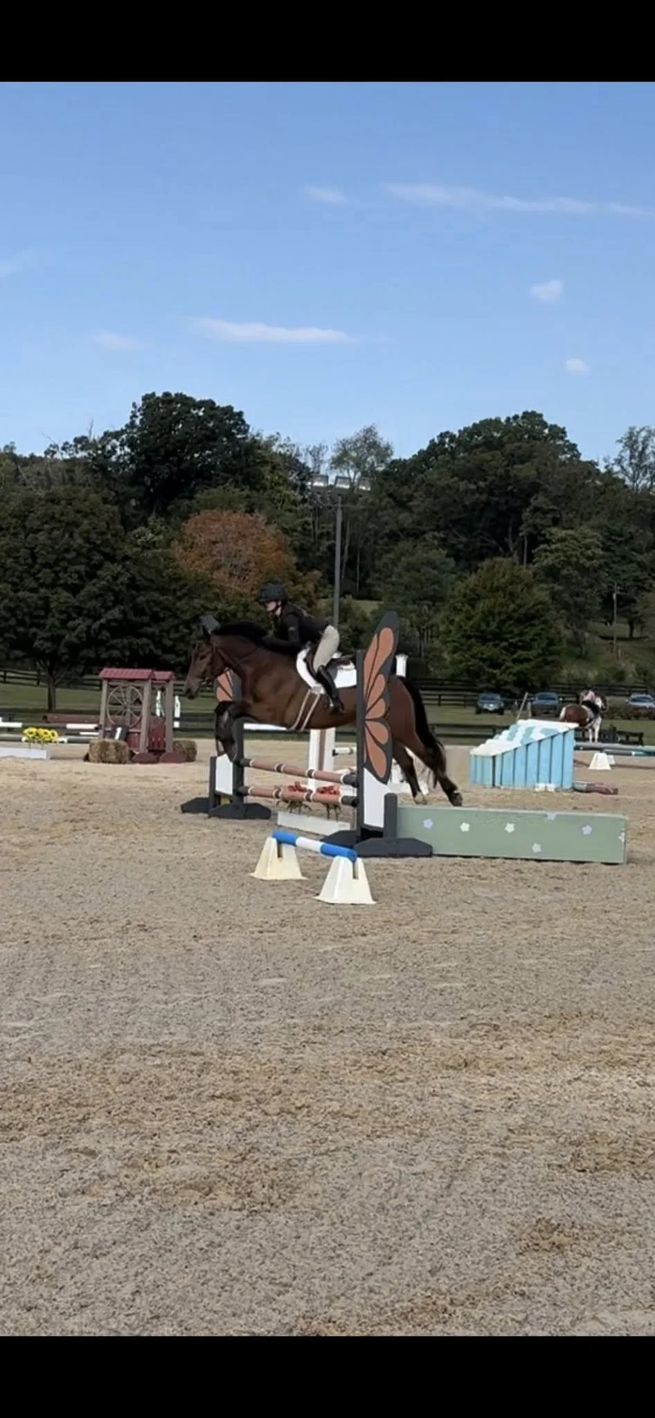 Bravo Jumper Show.jpg