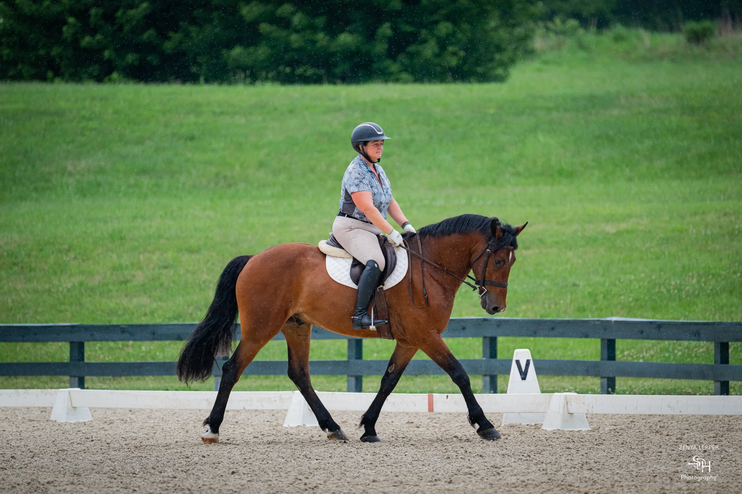 Wiley Dressage.jpg
