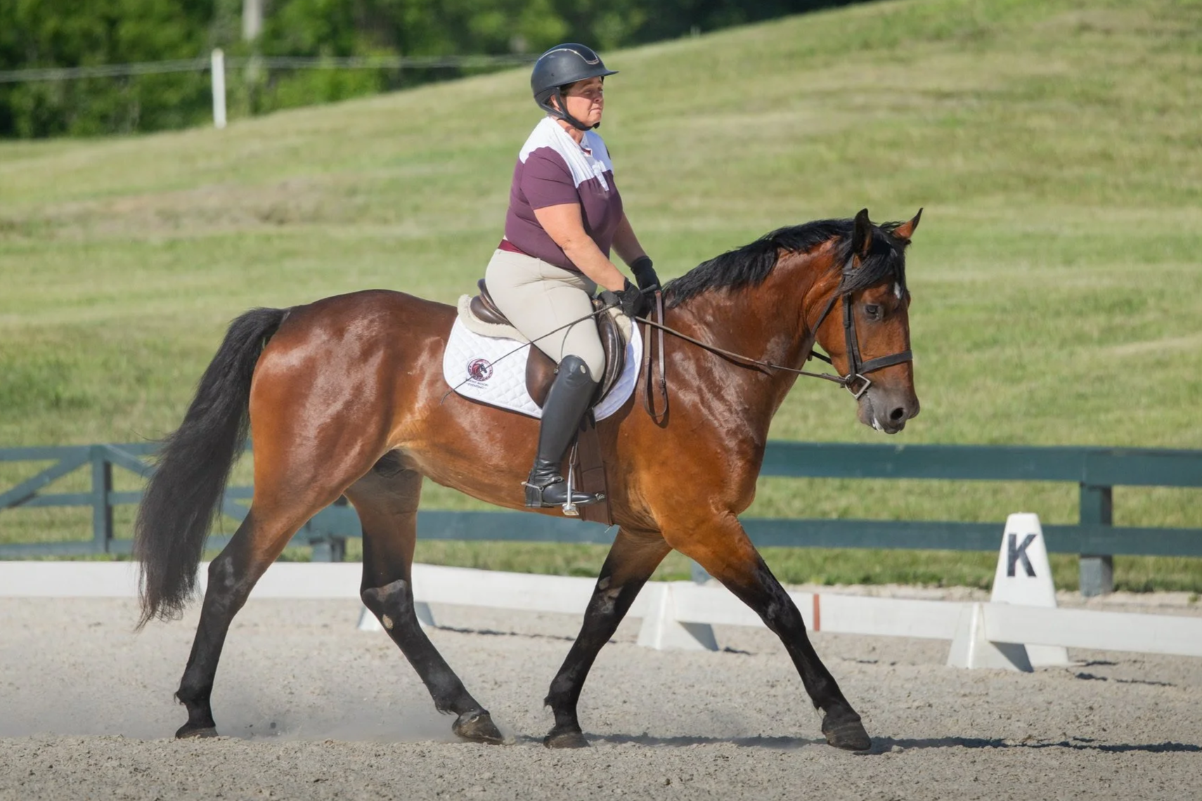 Dressage+Show.png