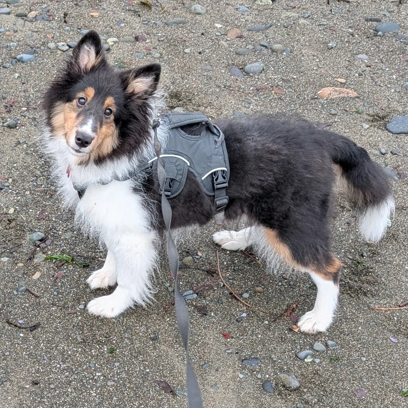 19 Weeks Old (Nov 30-Dec 6, 2025)
