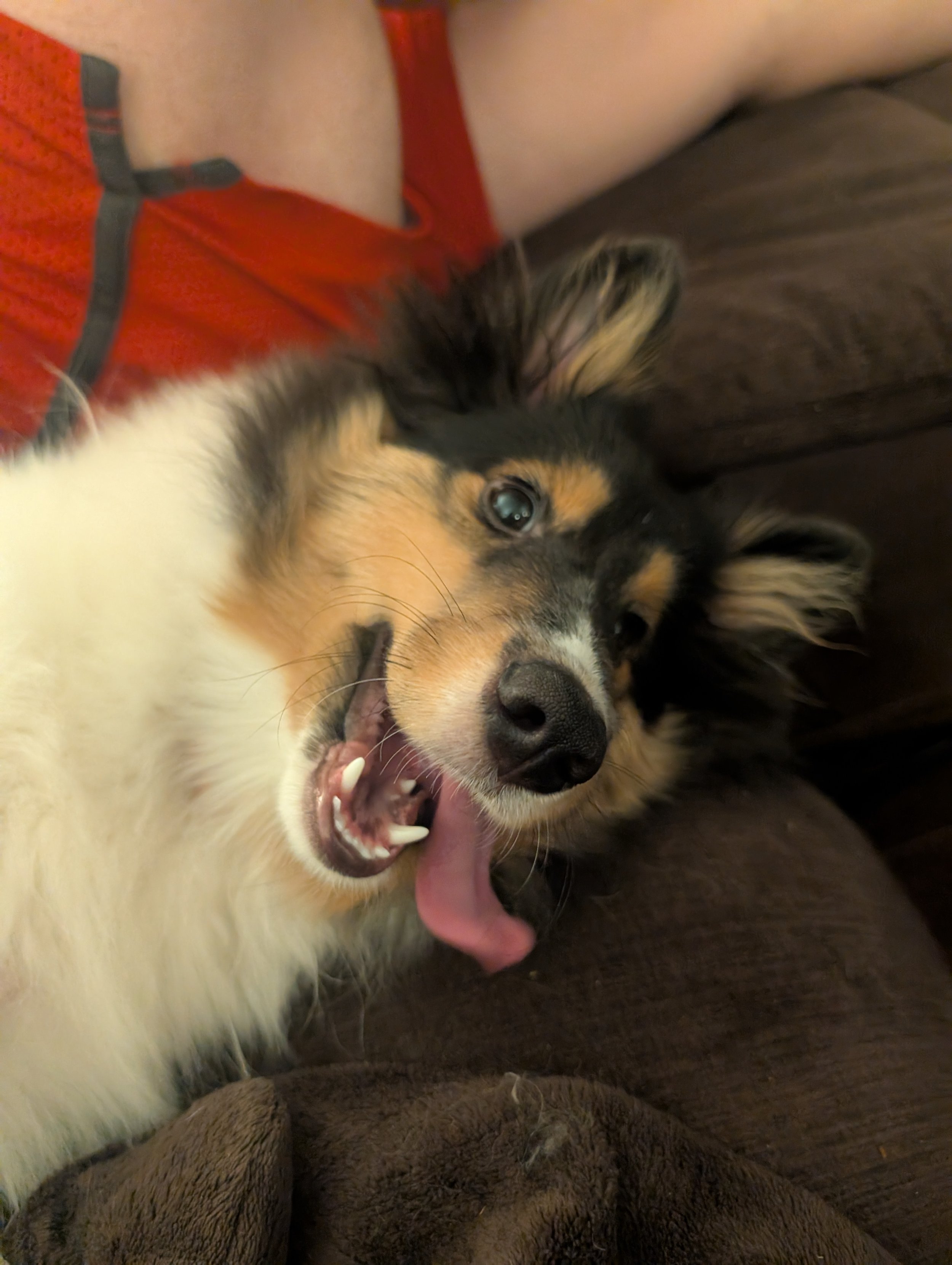 23/24 Week Old Gallery