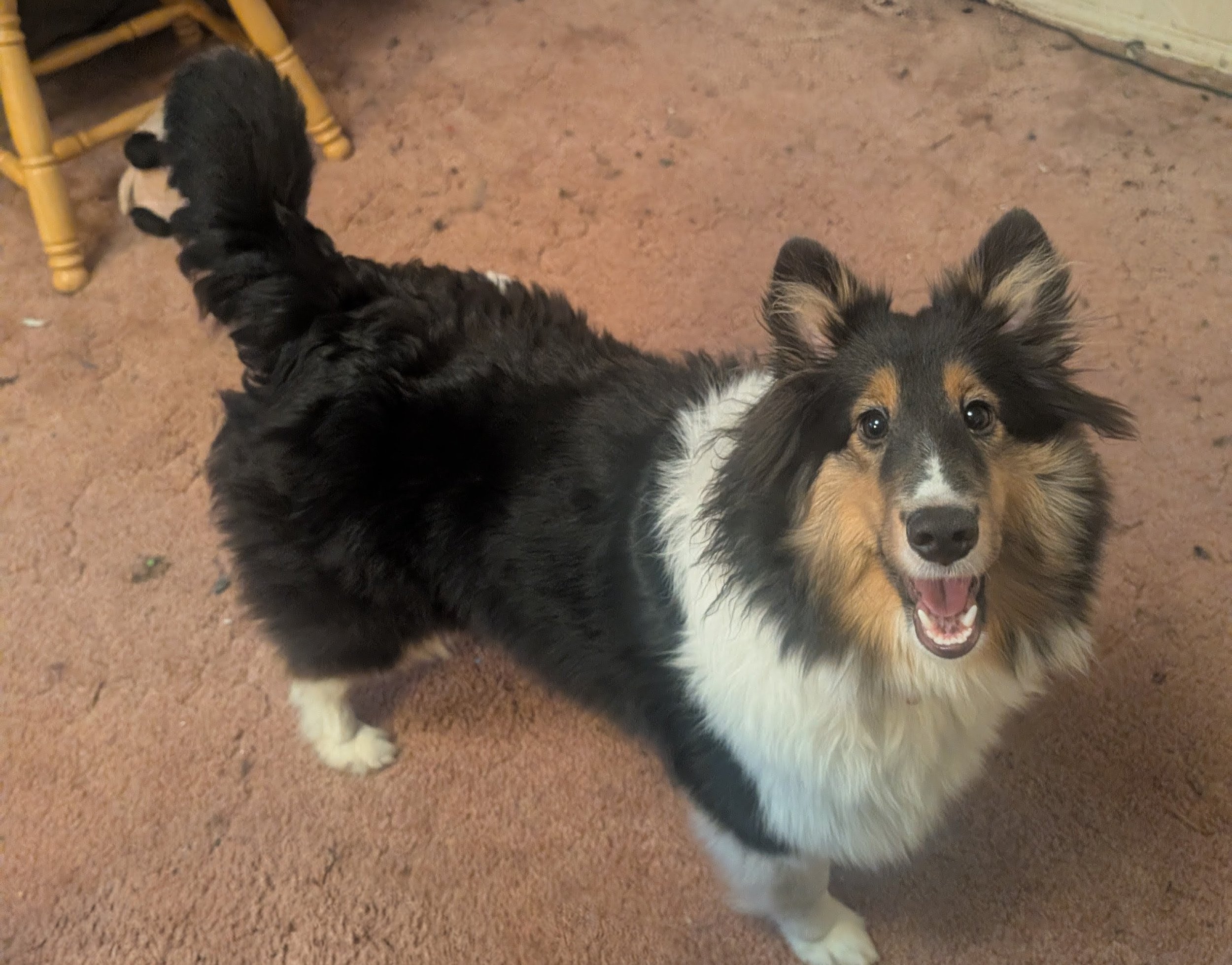 6 Months Old (Jan 19, 2026)