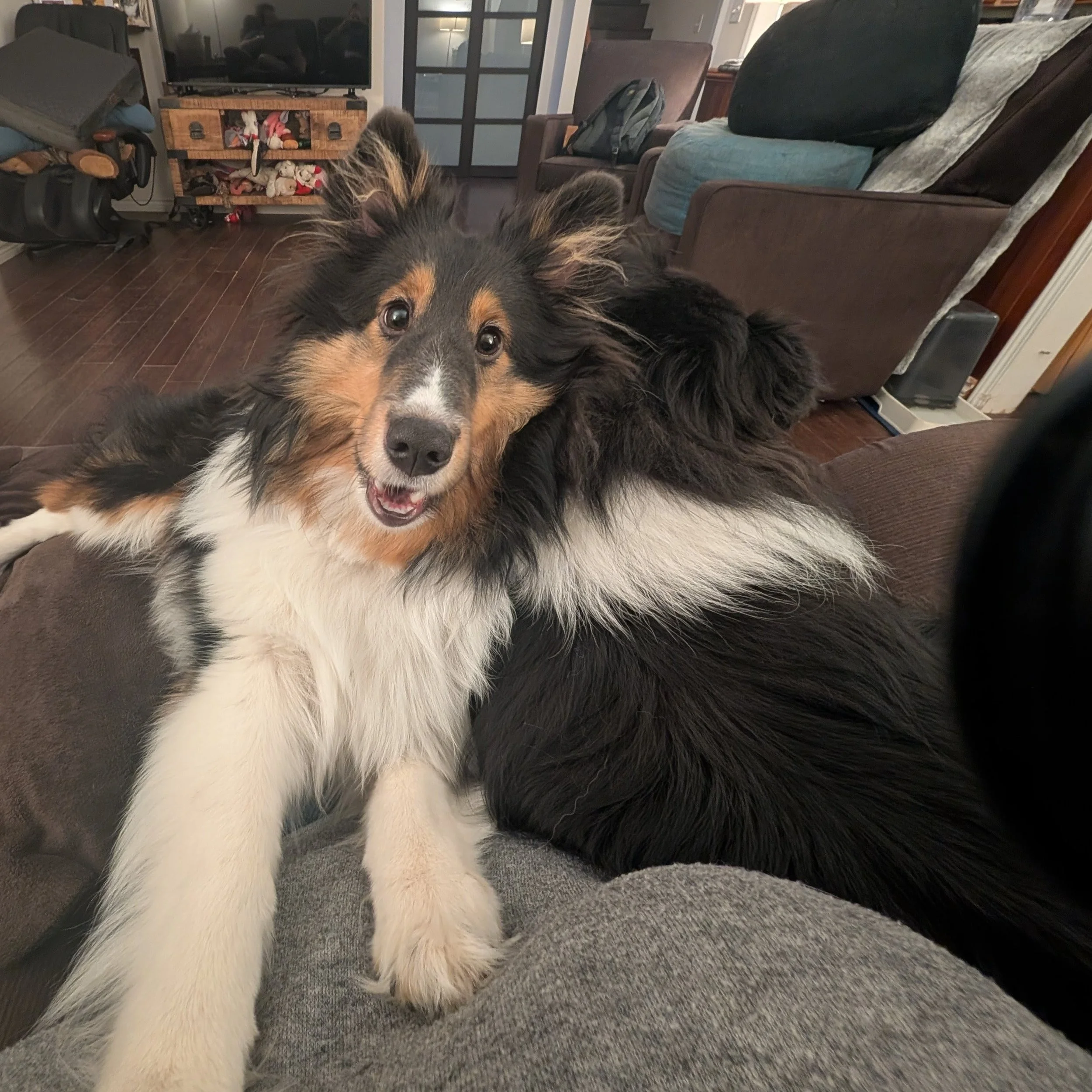 7 Months Old (February 19, 2026) 