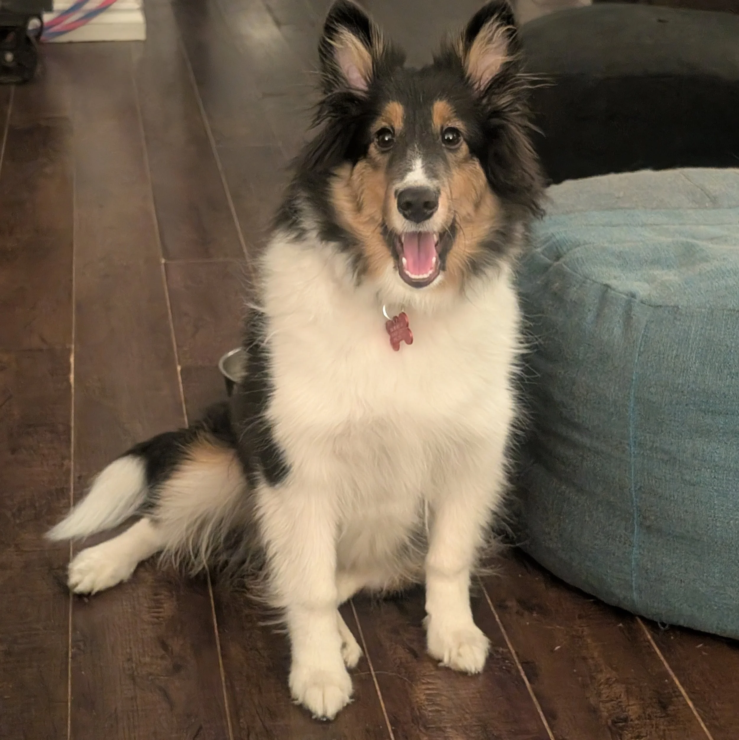 21/22 Week Old Gallery