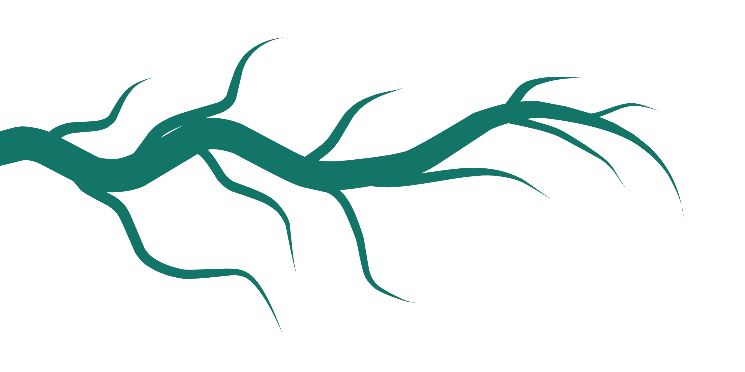 A dark teal, stylized, winding tree root with multiple smaller rootlets extending outward,.