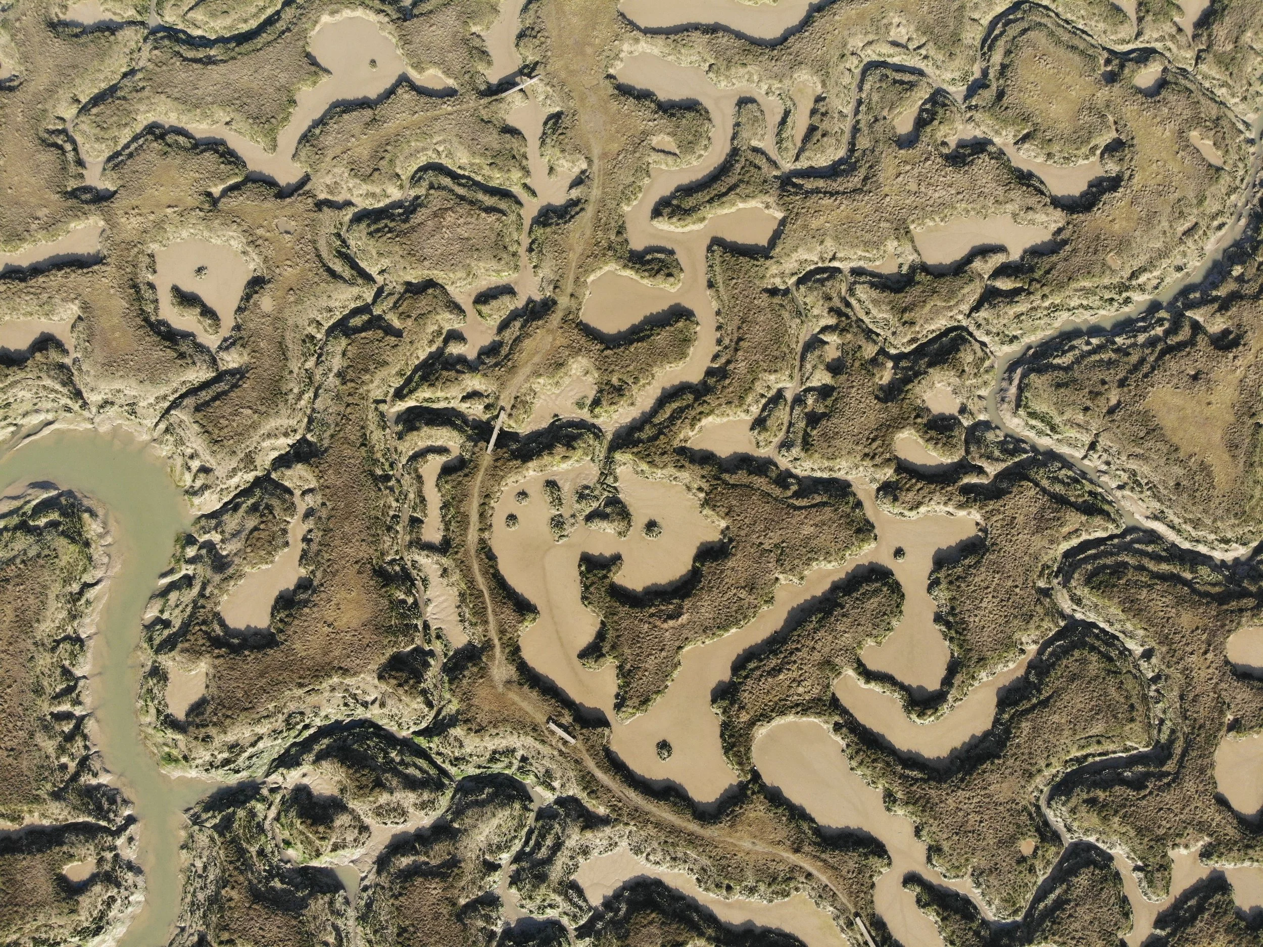 Aerial view of a river winding through a wetland area with multiple braided channels and patches of vegetation.