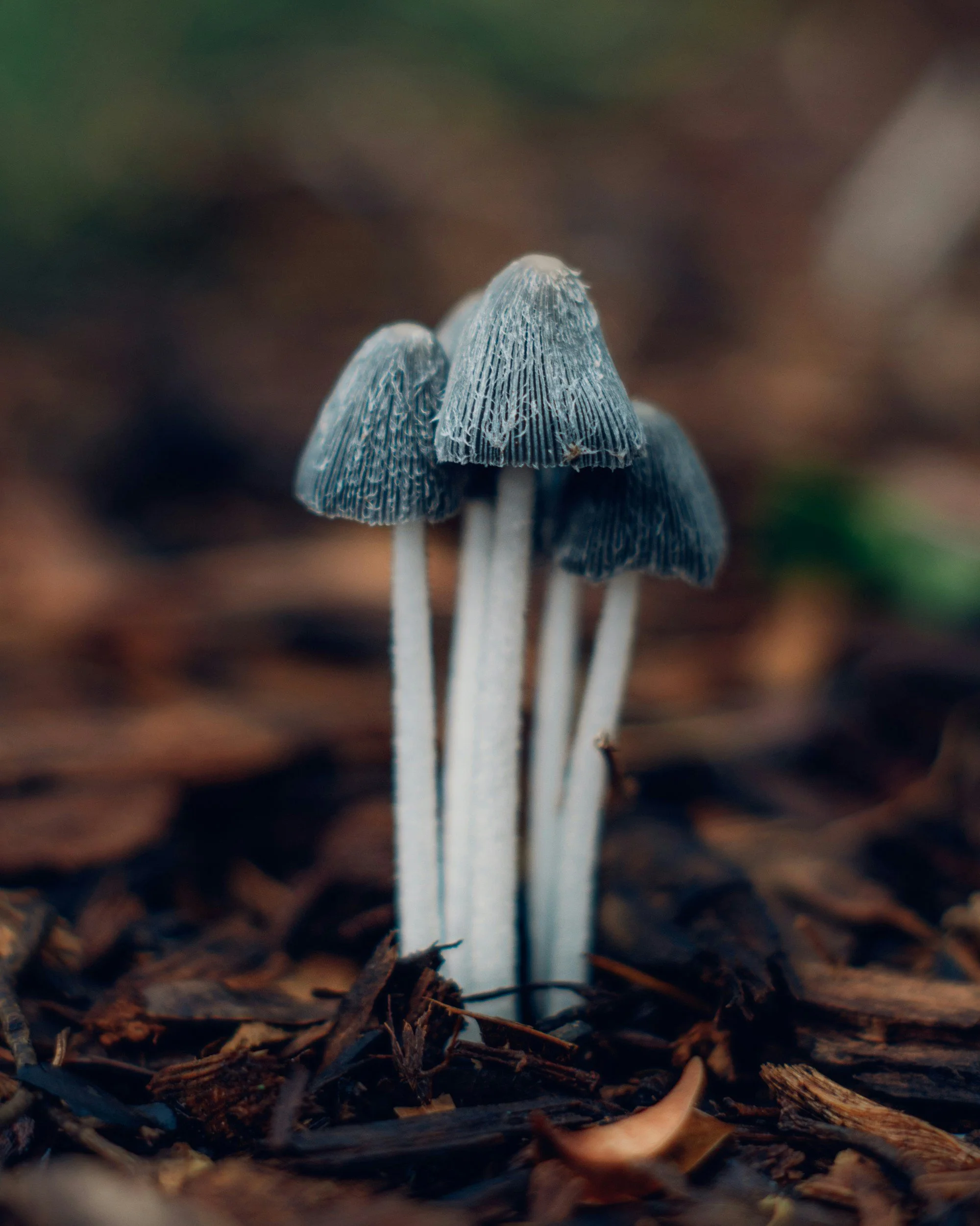 unsplash-image-65ZyHidQJTY.jpg