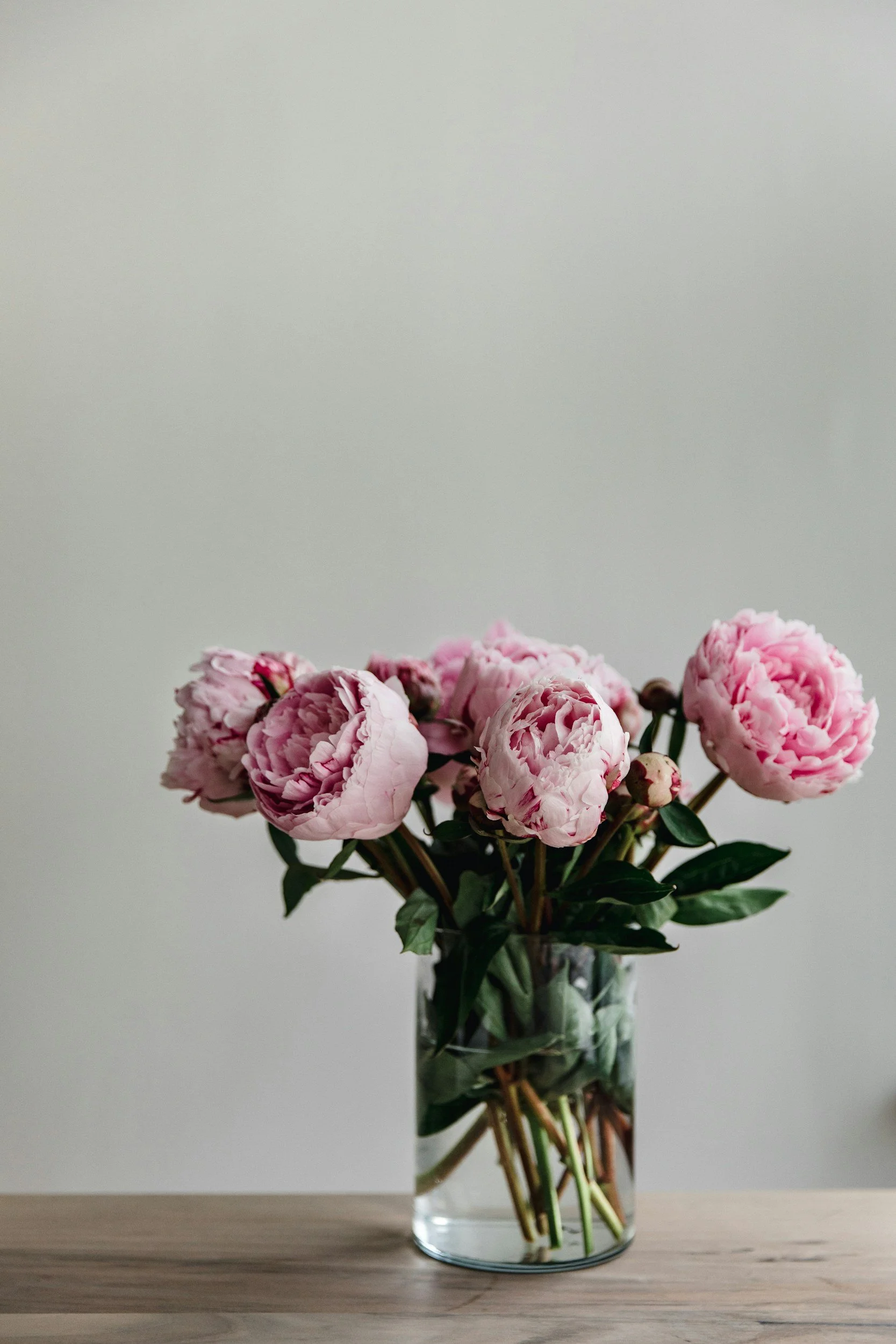 unsplash-image-ti4M507Rac0.jpg