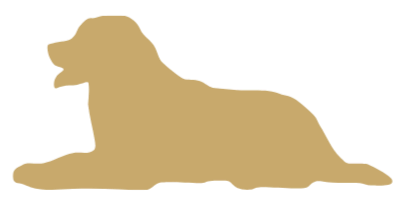 Silhouette of a dog lying down