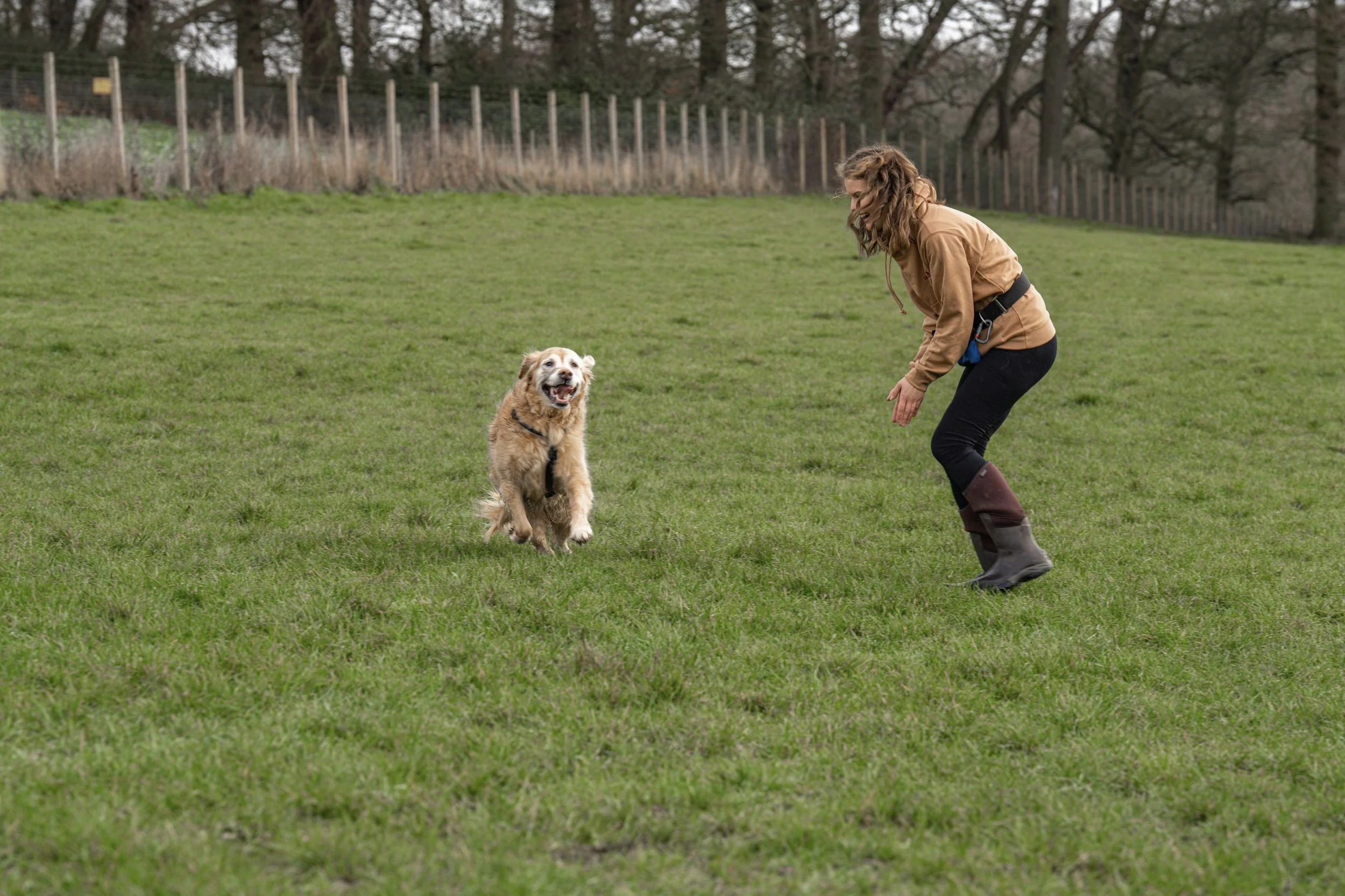 A woman playing fetch with her dog on a grassy field.