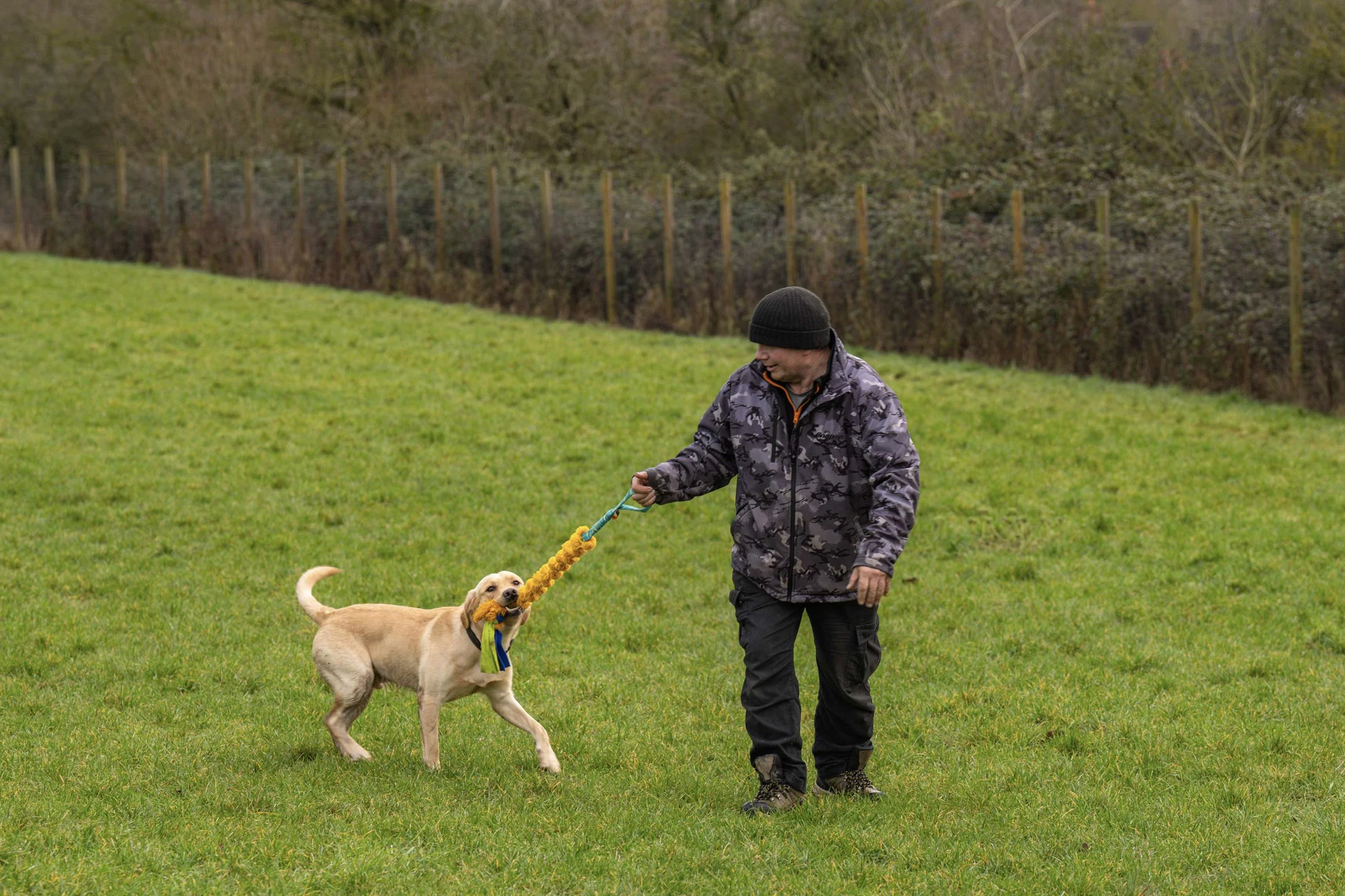 A man playing with a dog on a grassy field. The dog has a yellow and blue toy in its mouth.