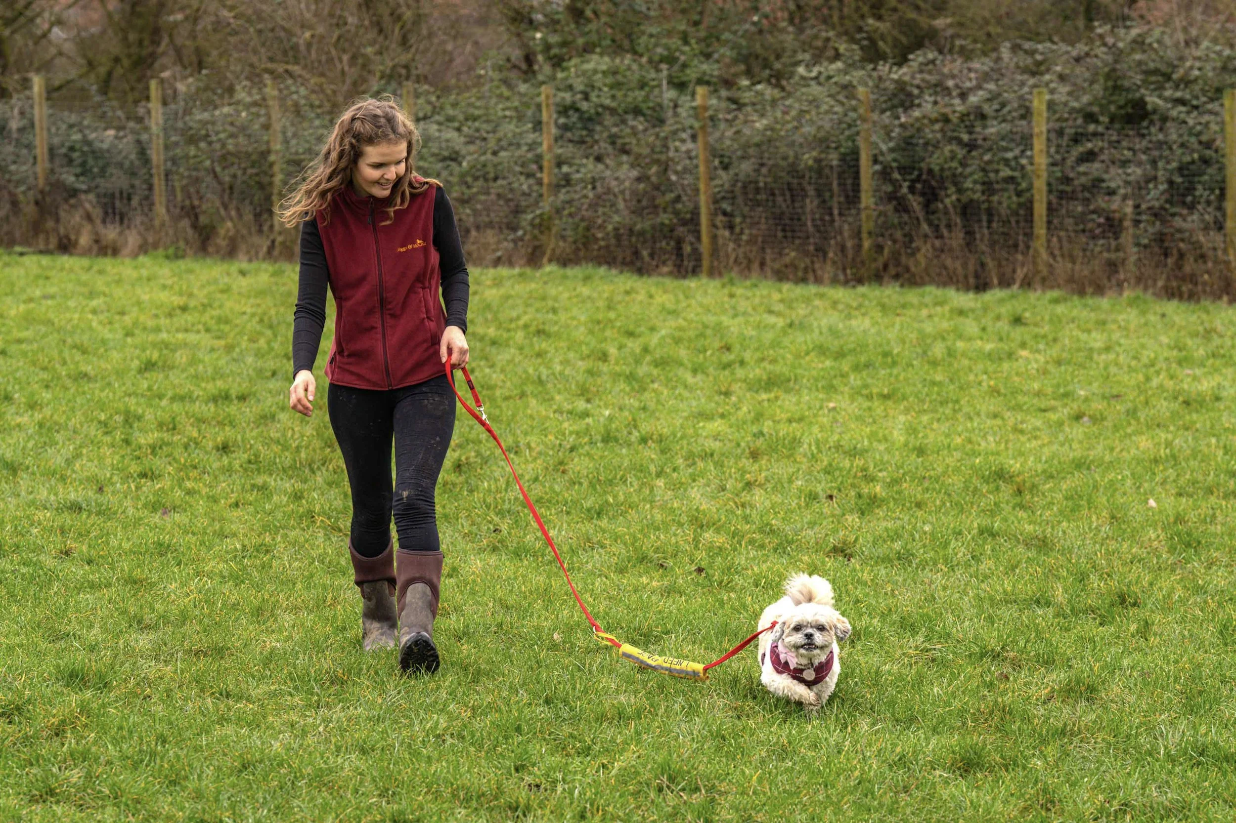 A woman walks on a grassy field with a small dog on a red leash. The woman is wearing a maroon vest, black leggings, and brown boots. The dog, wearing a matching maroon shirt, runs happily beside her.