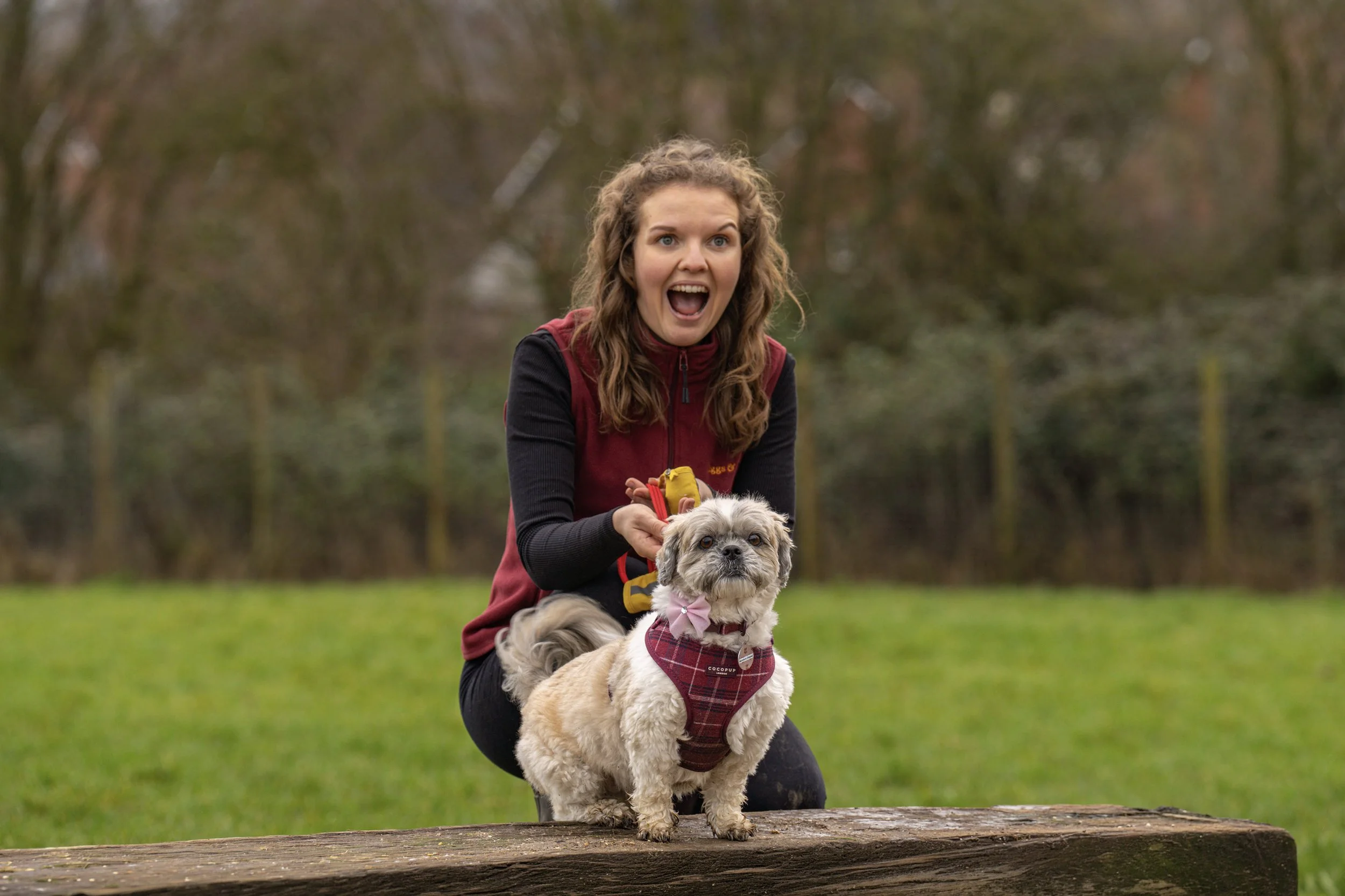 Alice kneeling on a log with a small dog outdoors on a grassy field with trees in the background, both looking at the camera.