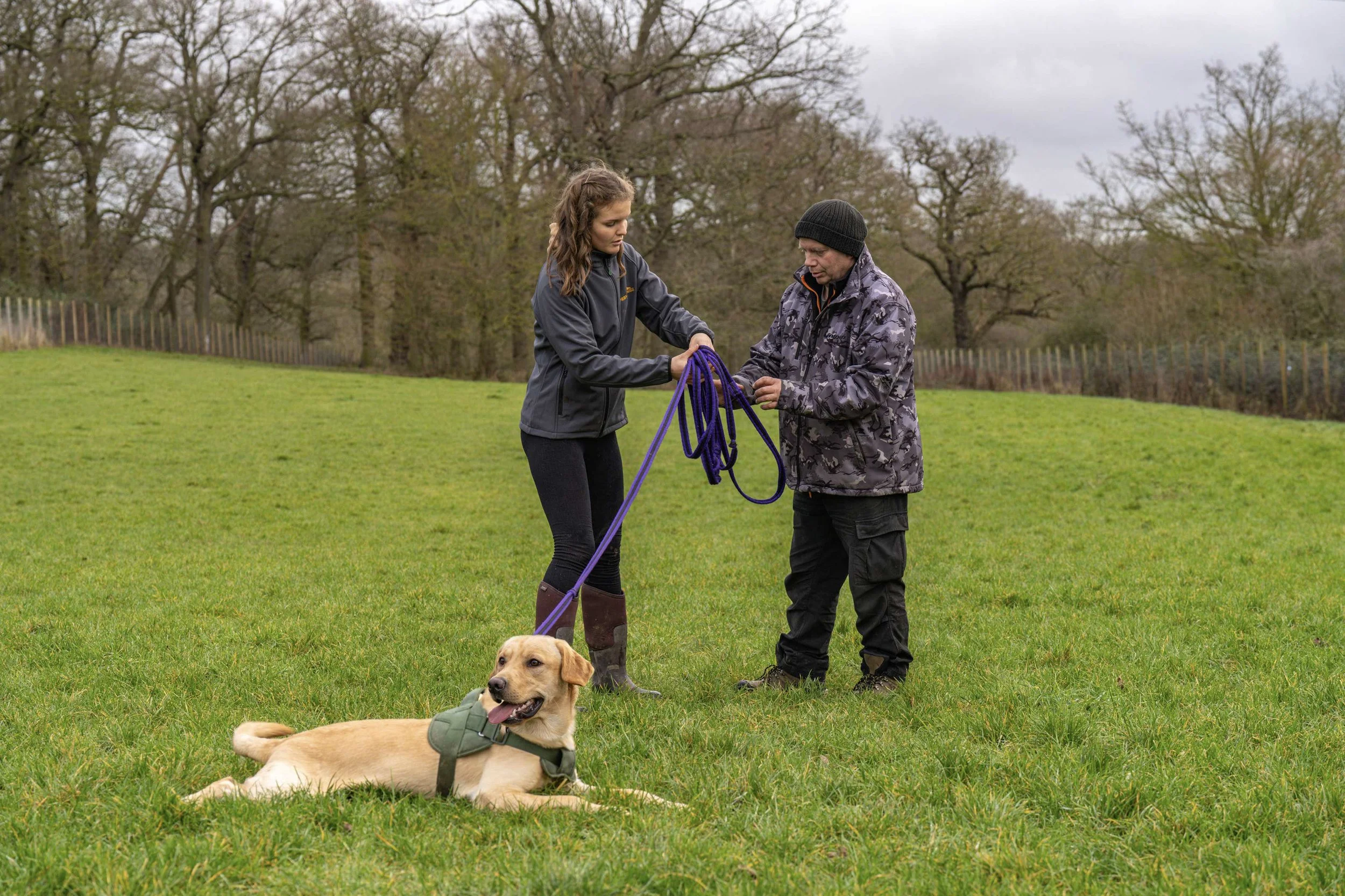 Two people, a woman and a man, on a grassy field with a dog lying nearby. The woman is holding a purple dog leash, and the man is adjusting it.