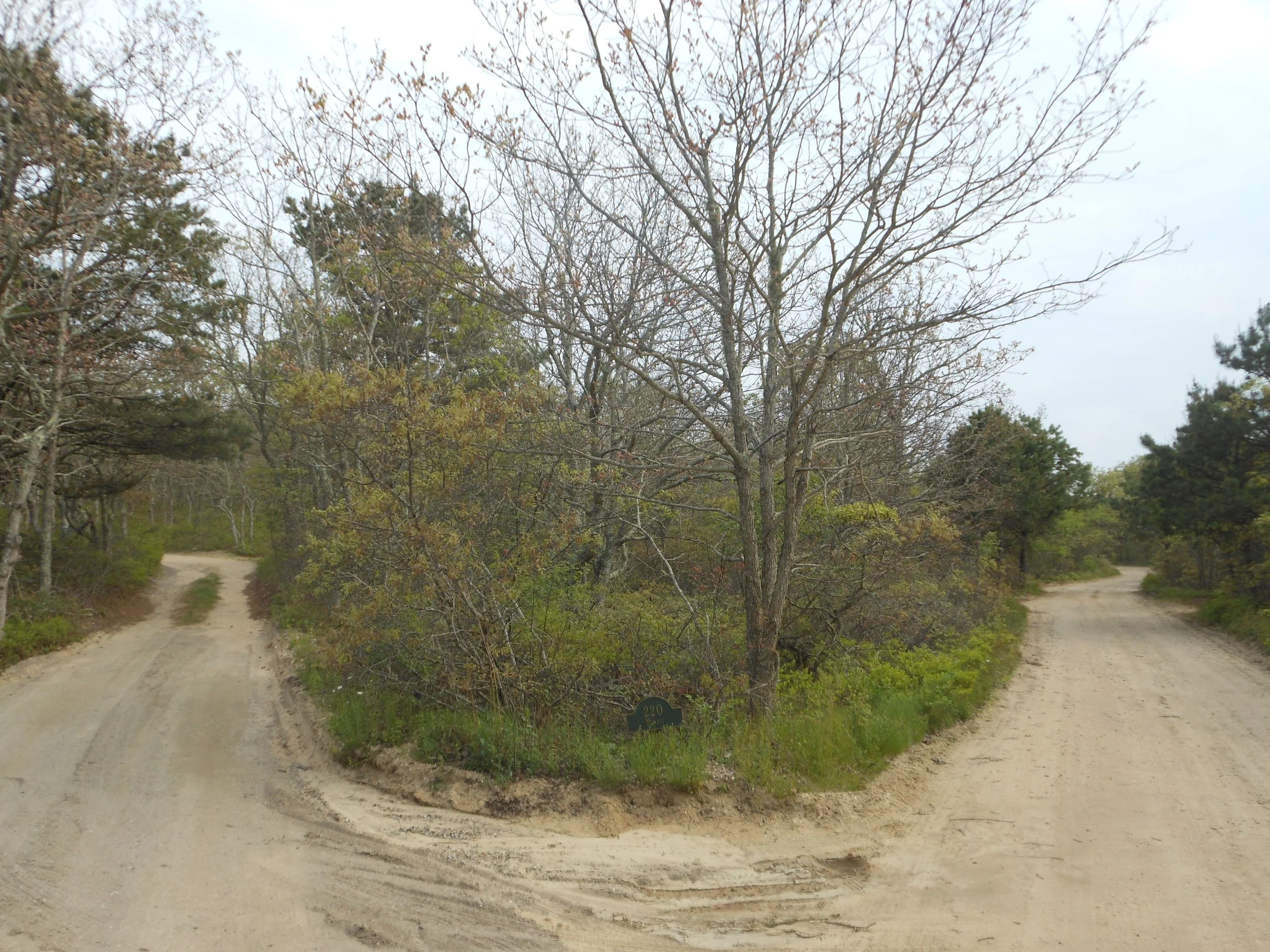 Martha_s Vineyard 2012 069.jpg