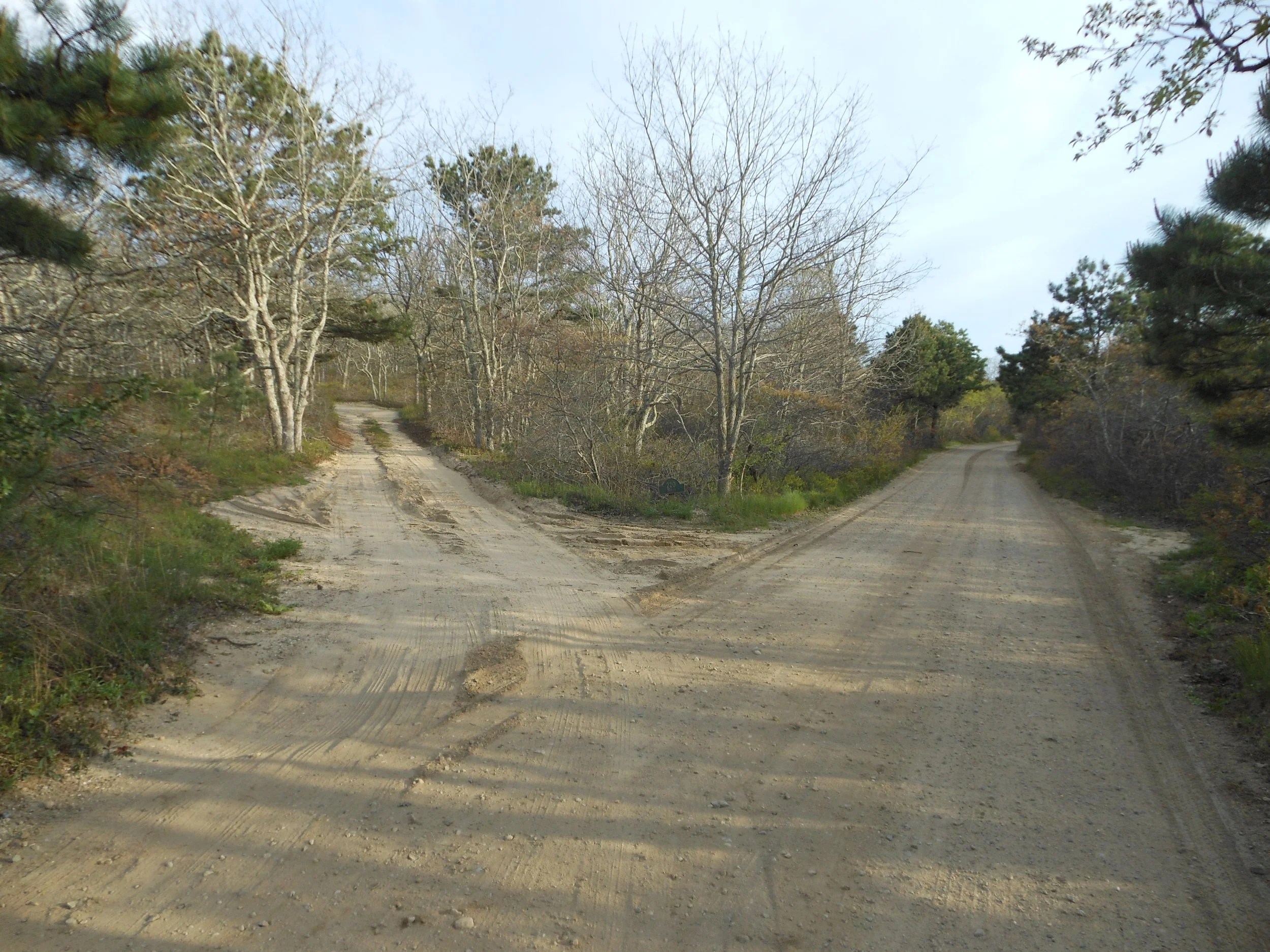 Martha_s Vineyard 2012 009.jpg