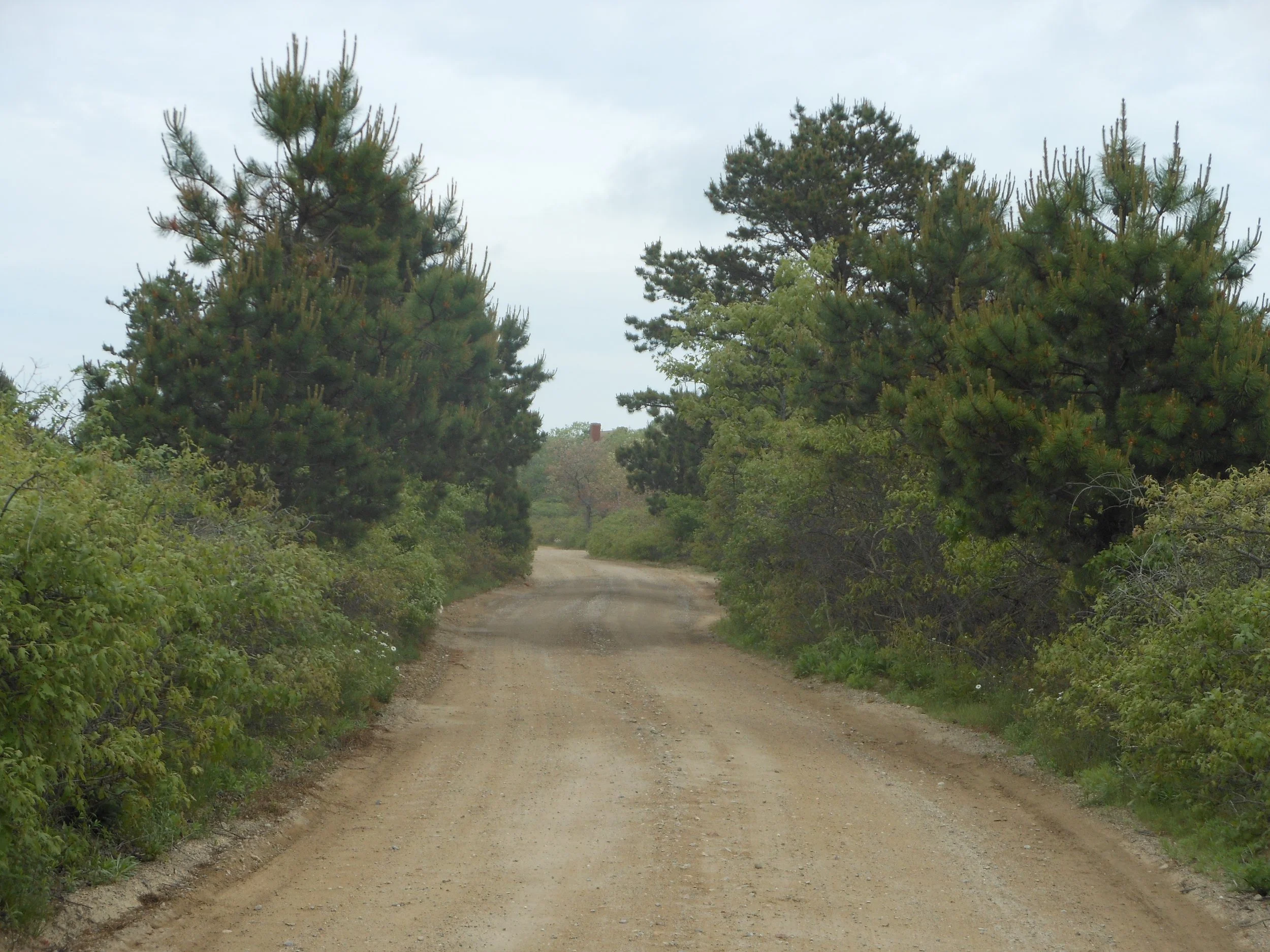 Martha_s Vineyard 2012 101.jpg