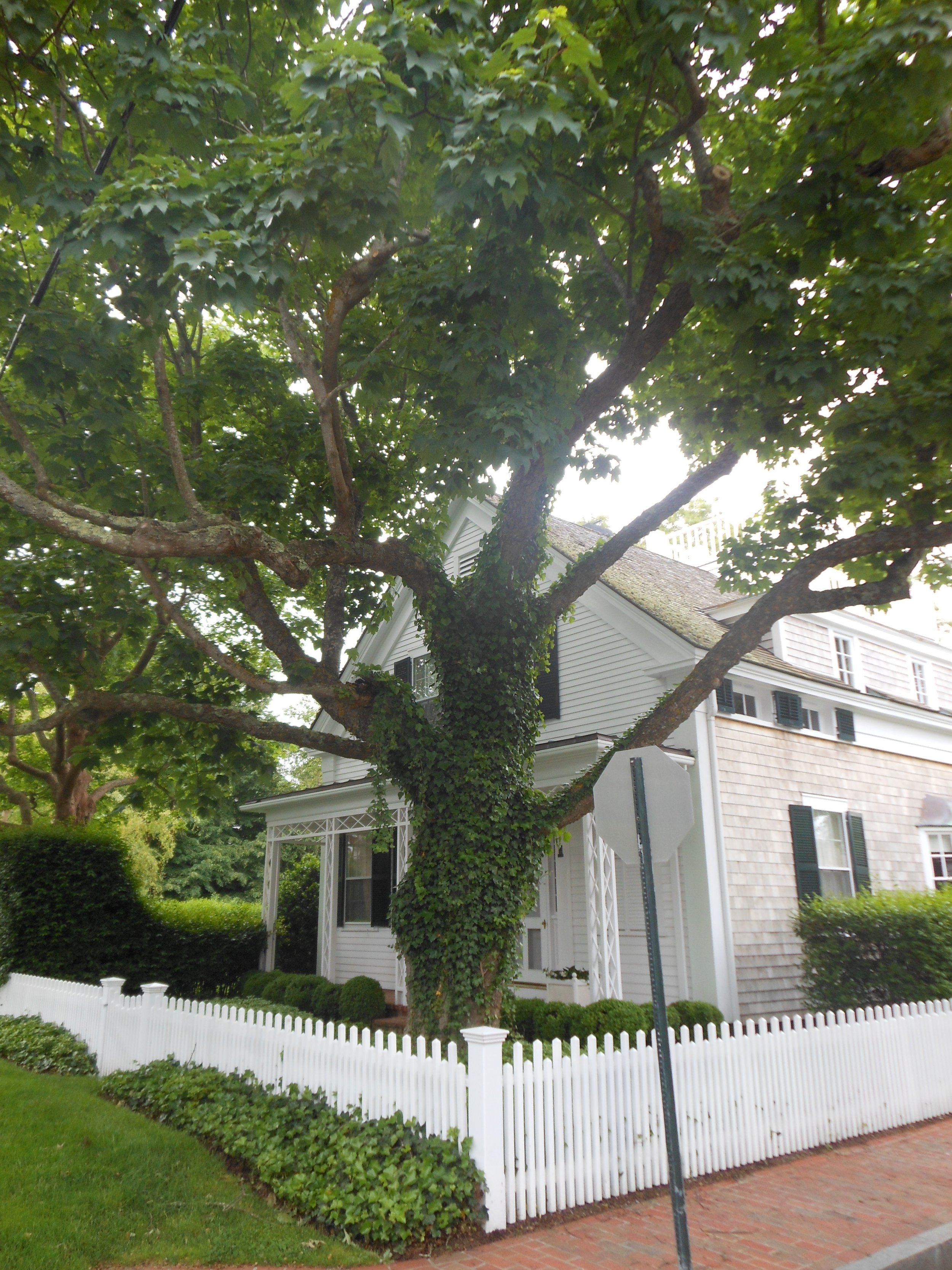 Martha_s Vineyard 2012 129.jpg