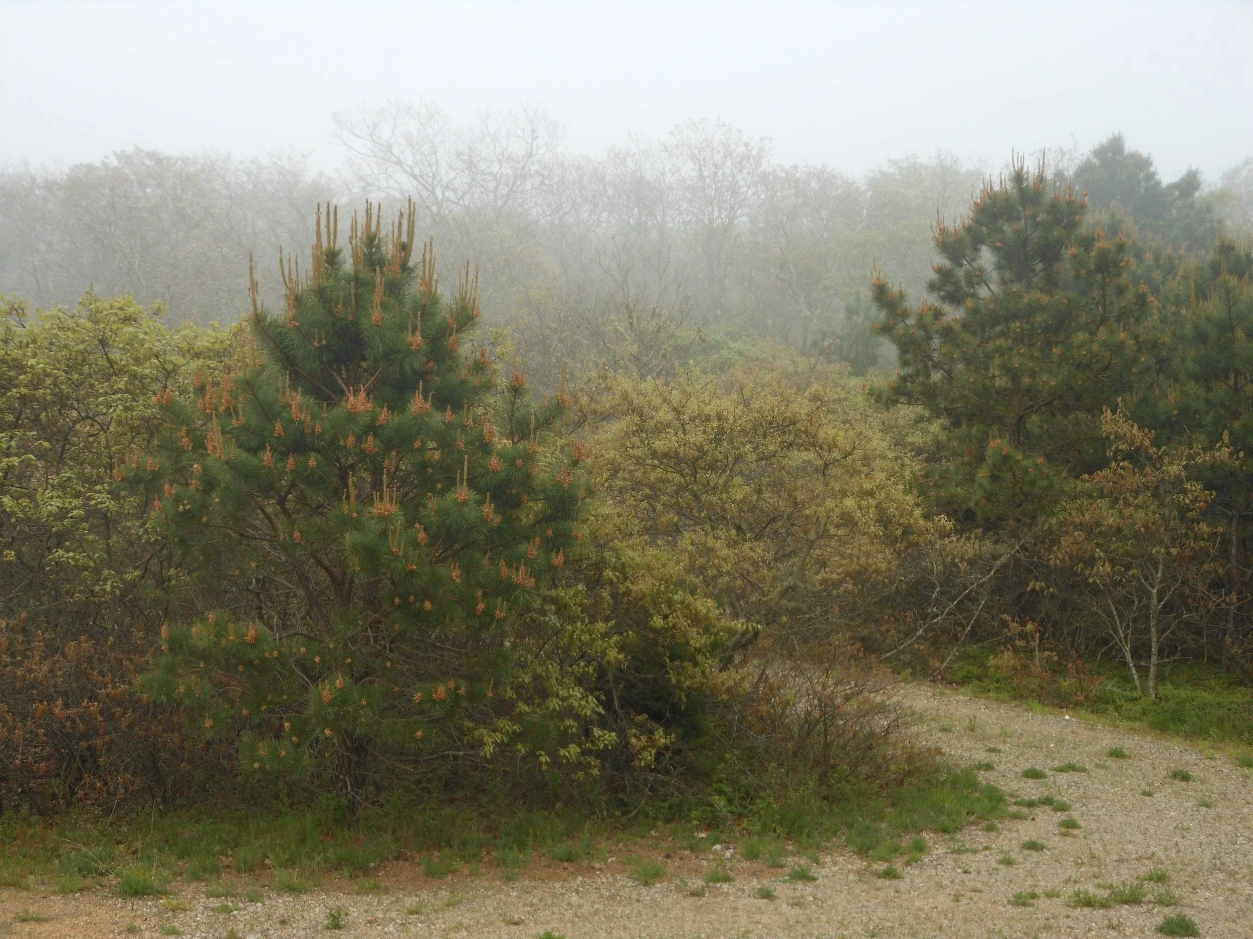 Martha_s Vineyard 2012 055.jpg