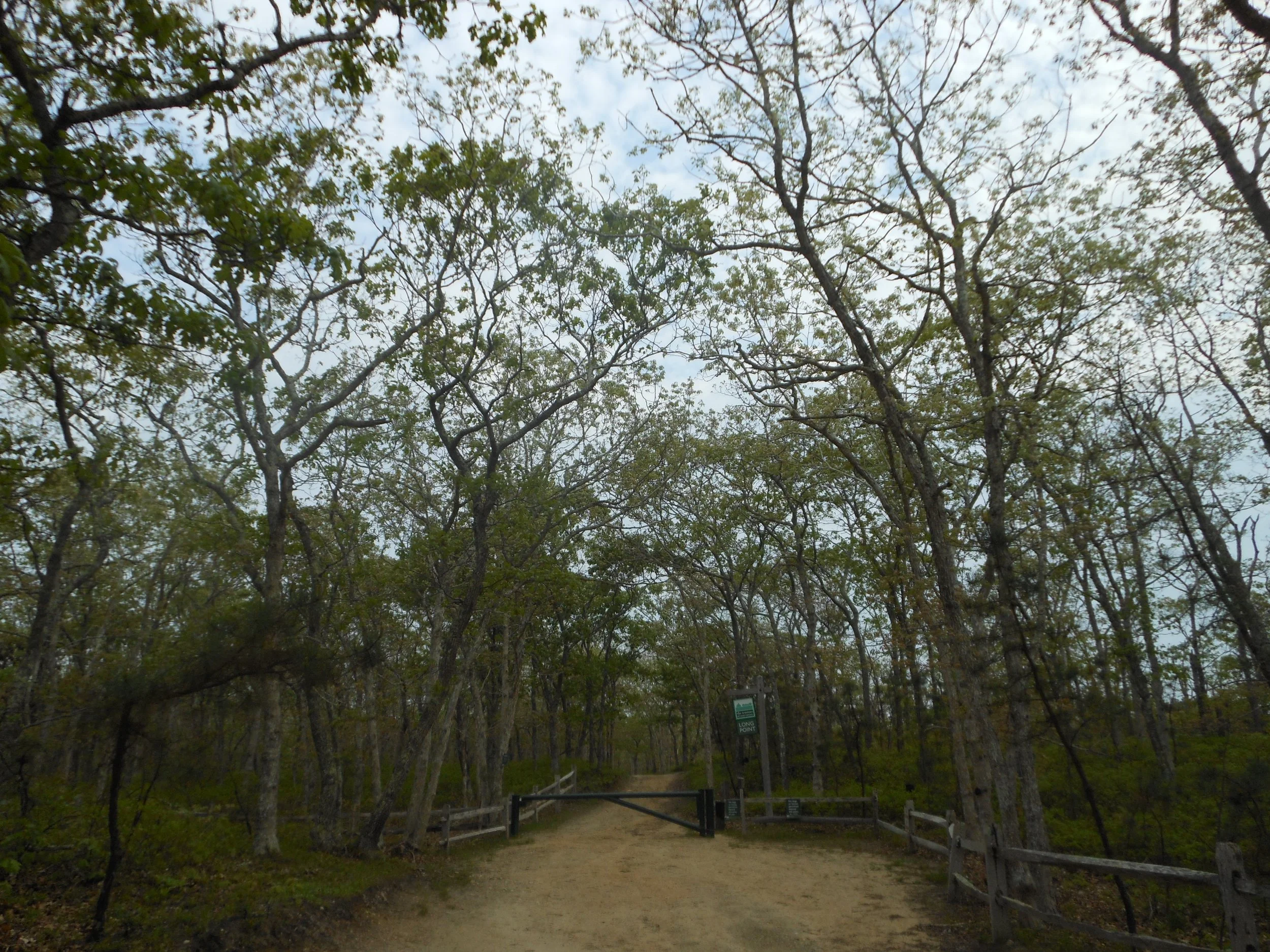 Martha_s Vineyard 2012 080.jpg