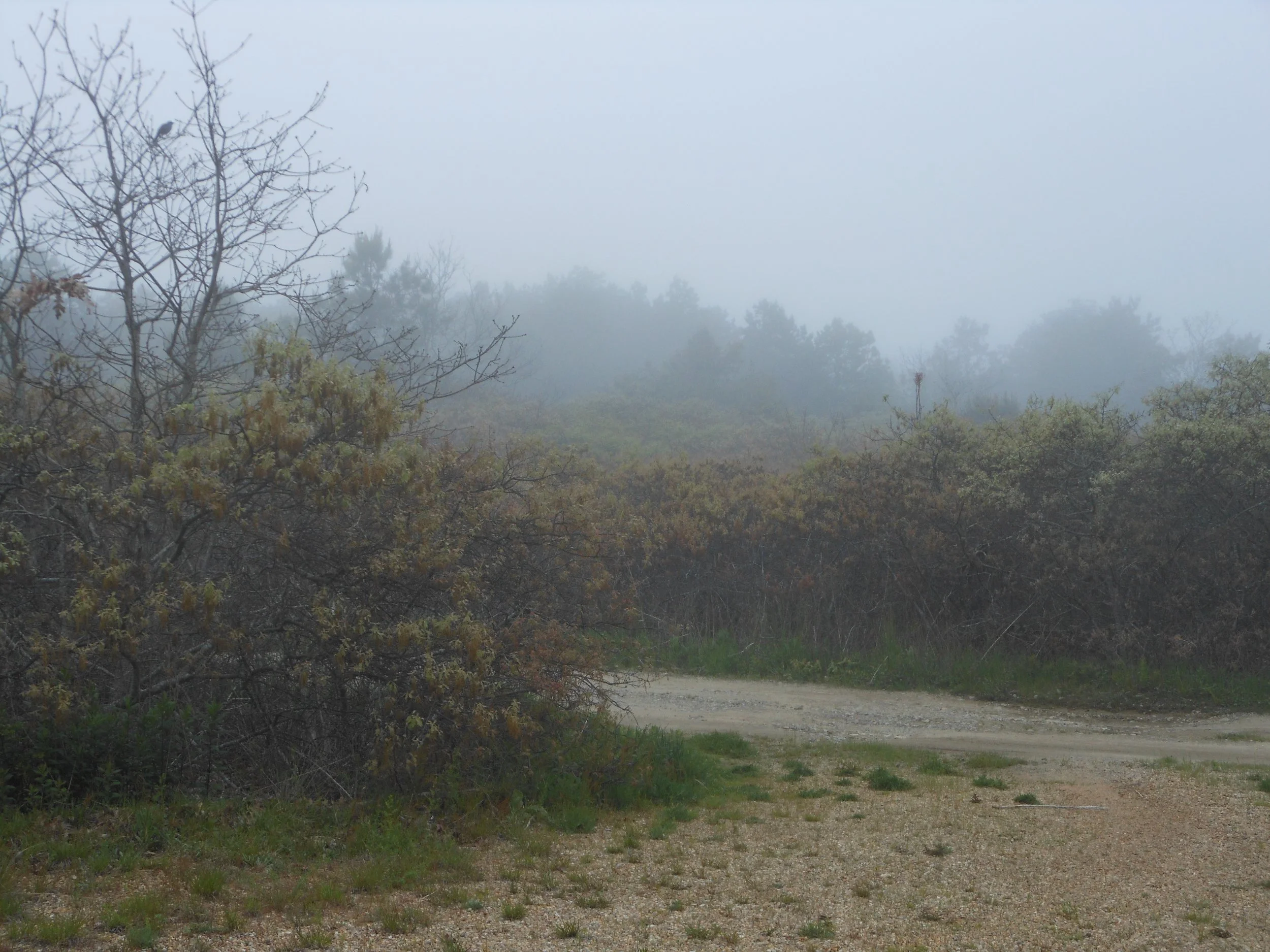 Martha_s Vineyard 2012 056.jpg