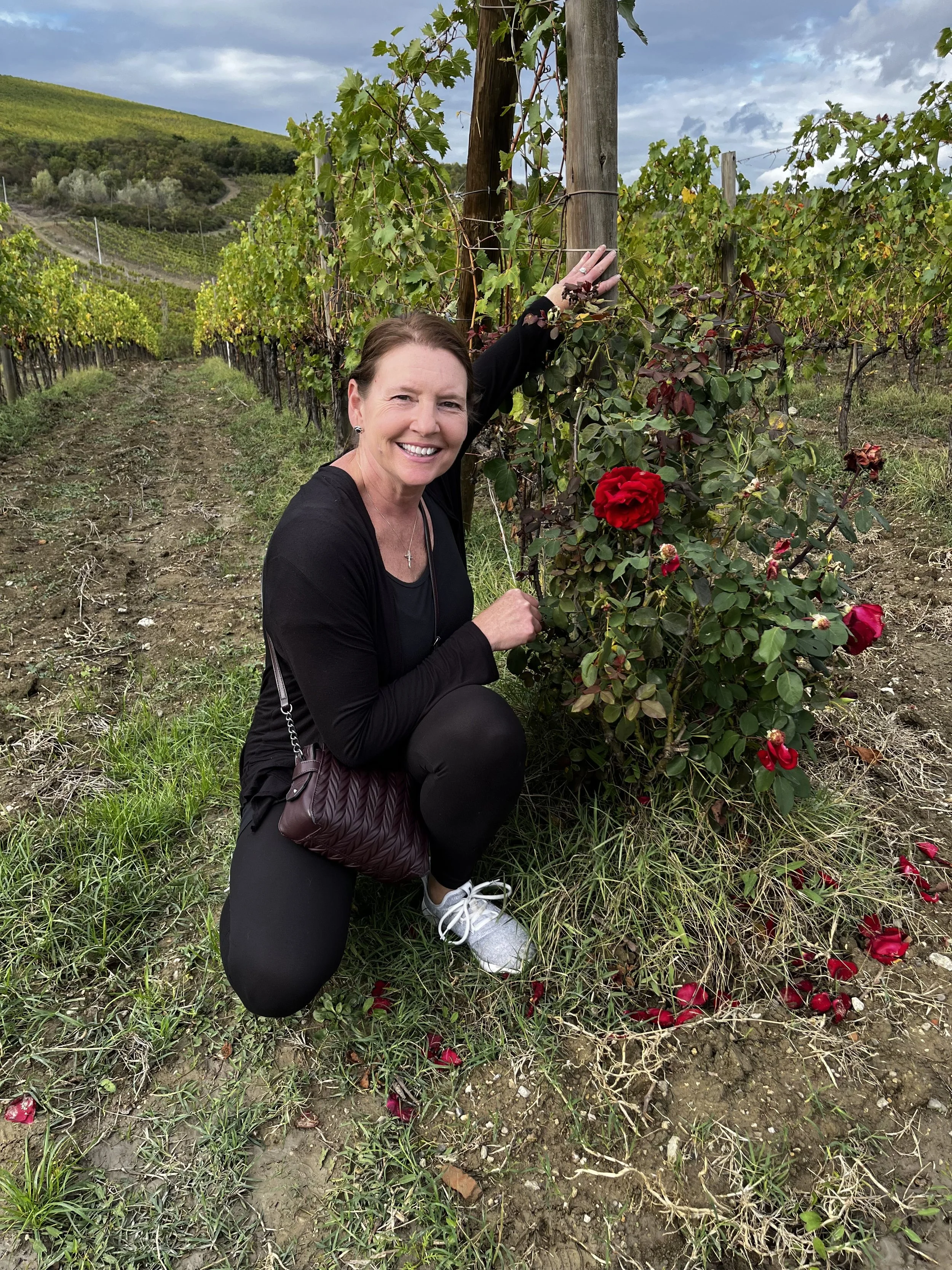 Roses and Grapevines