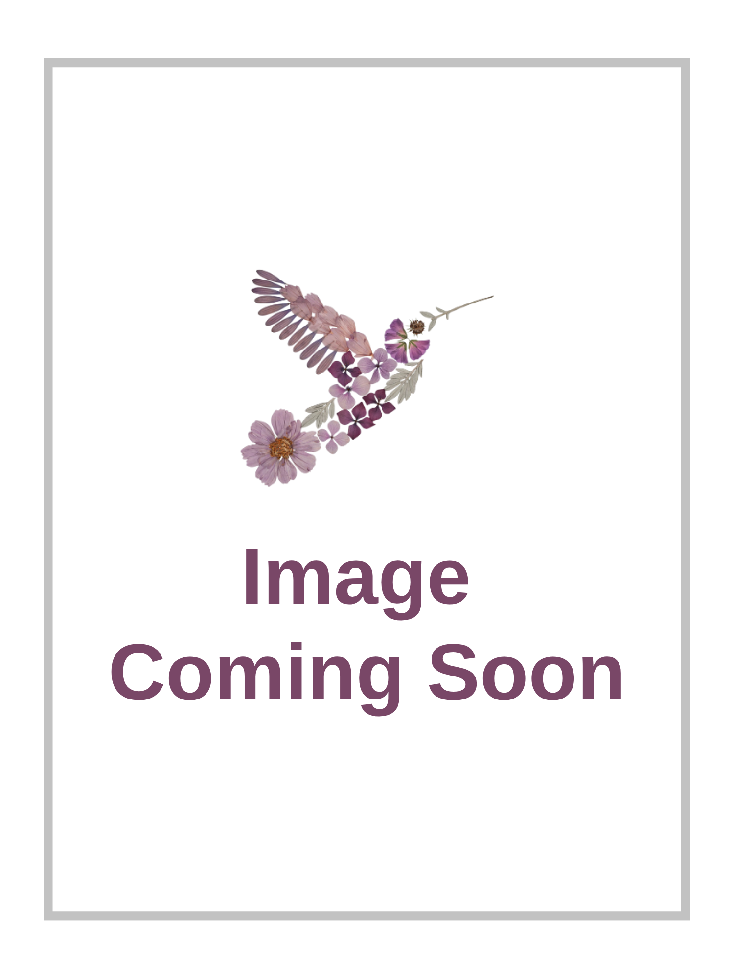 Image Coming Soon.png