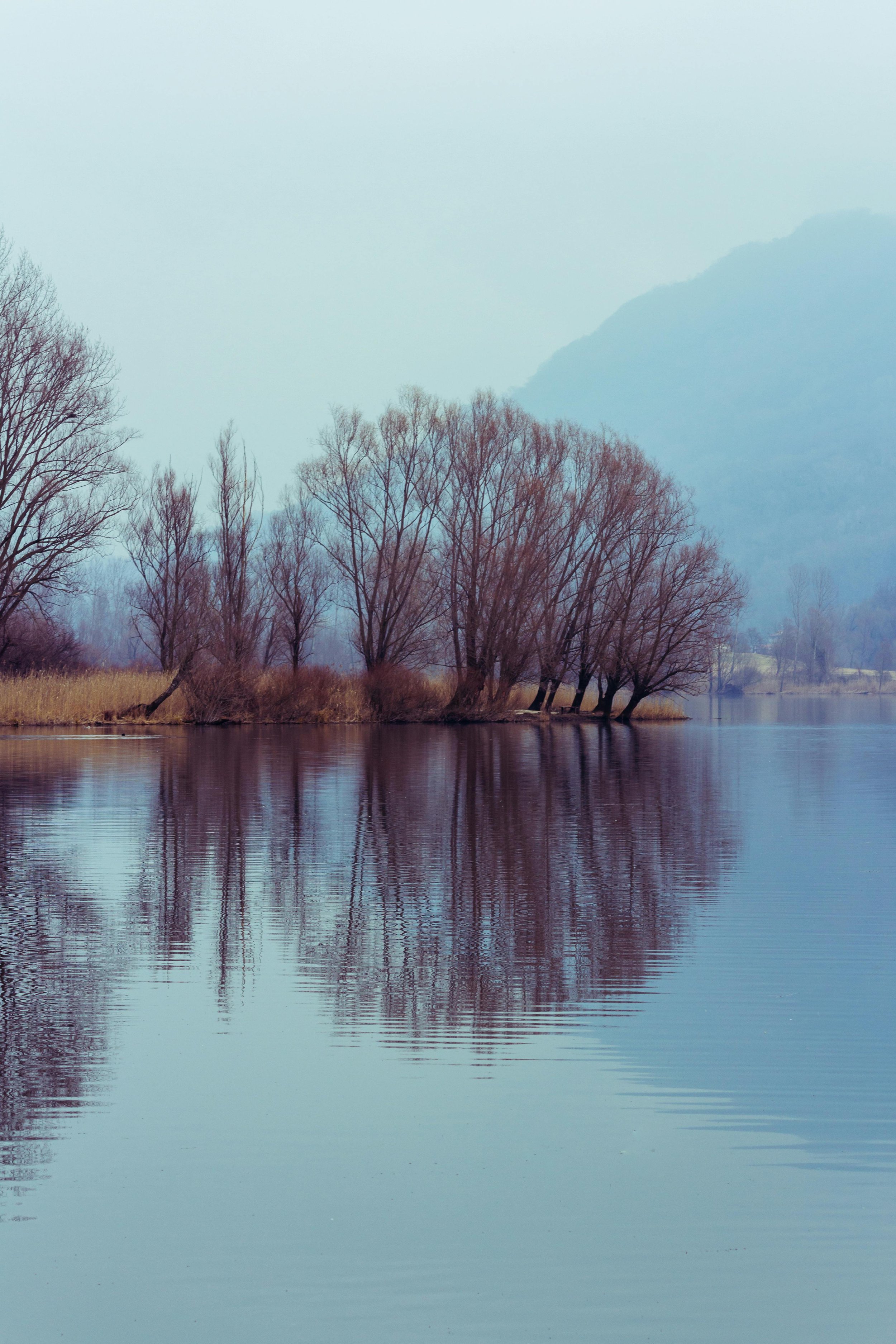 Calm river with bare trees on the shore and mountains in the background, reflecting on the water with a misty sky.