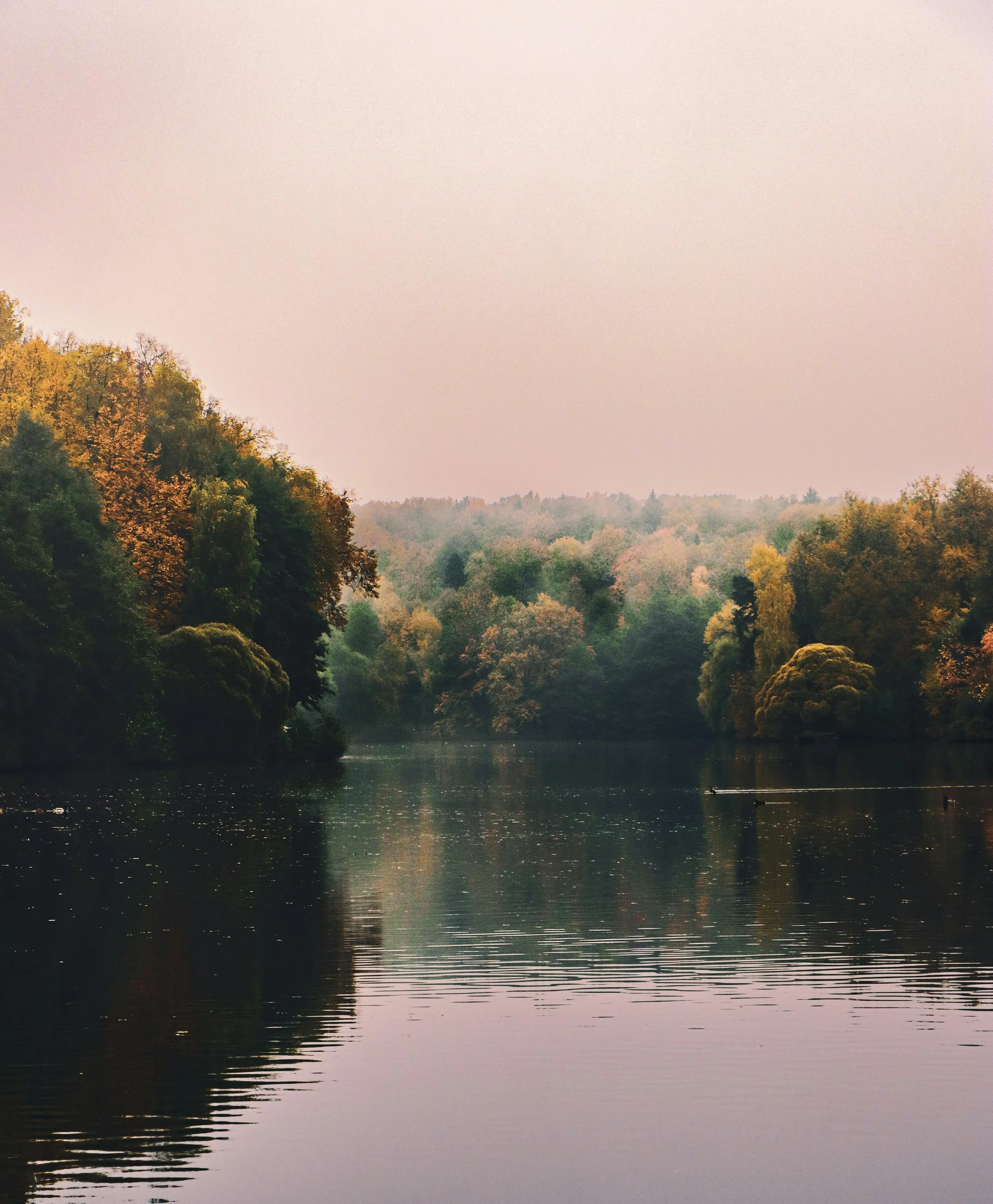 A peaceful lake scene at dusk with reflections of trees on the water, surrounded by a forest with fall foliage in shades of green, yellow, and orange.