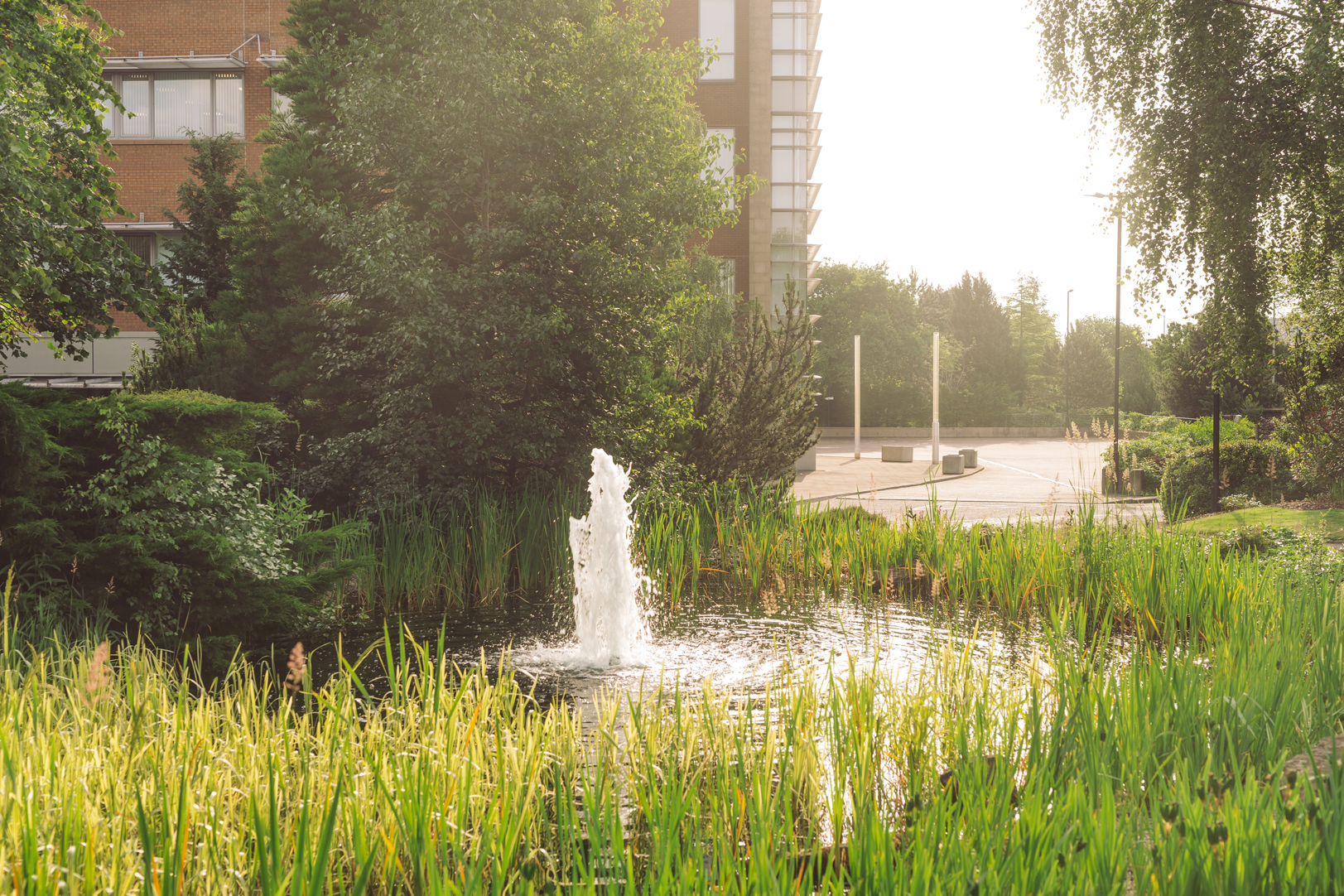 A small fountain spraying water into a pond surrounded by lush green plants, tall trees, and a nearby sidewalk in at Strathclyde Business Park, Lanarkshire.