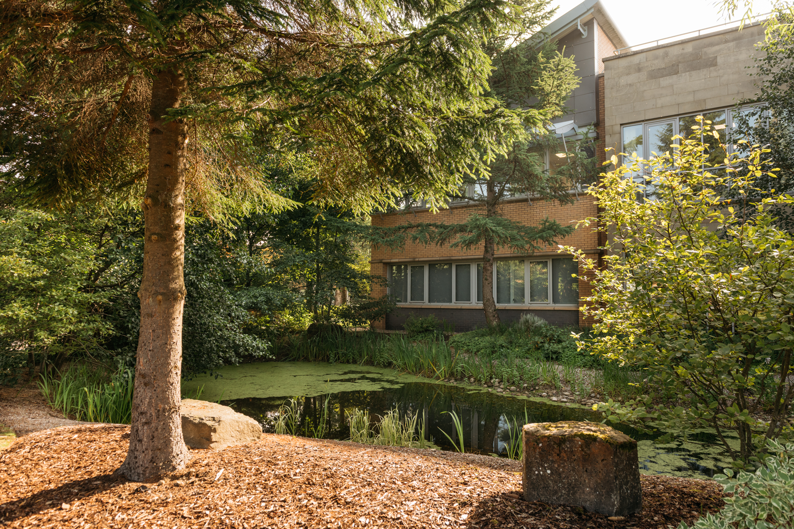 A landscaped garden with a pond surrounded by trees and plants in front of a multi-story office building in Strathclyde Business Park, Lanarkshire.